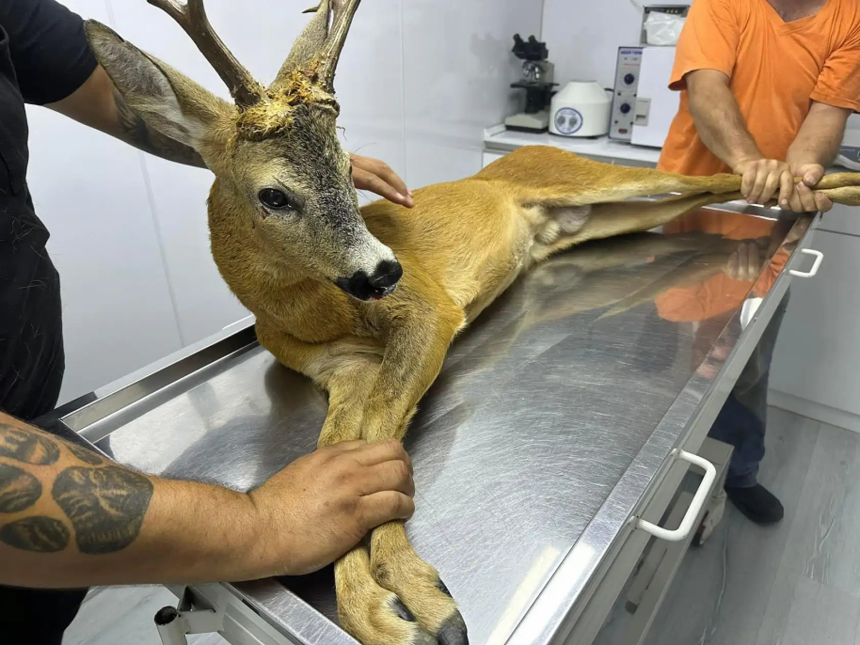 Yola fırladı, araba çarptı