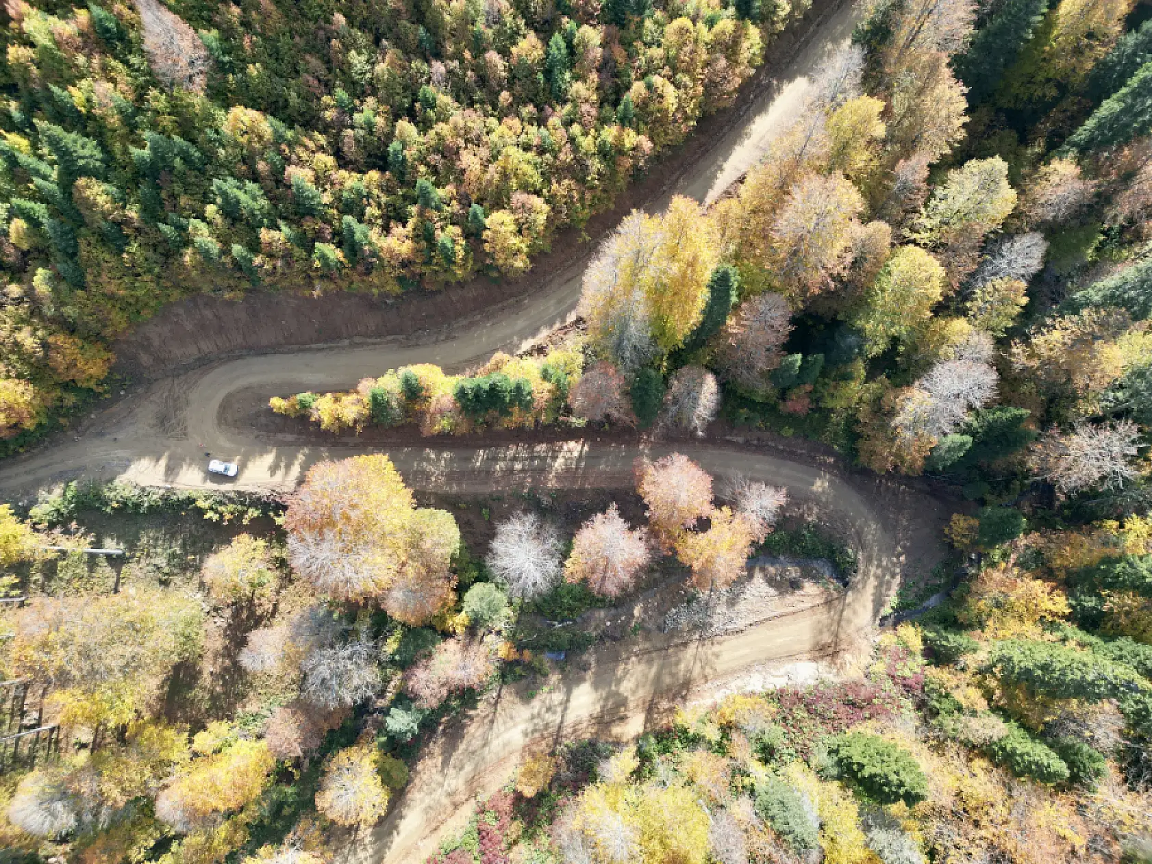 Yaylalarda sonbahar güzelliği