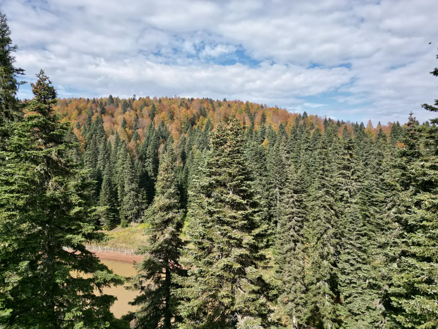 Yaylalarda sonbahar güzelliği
