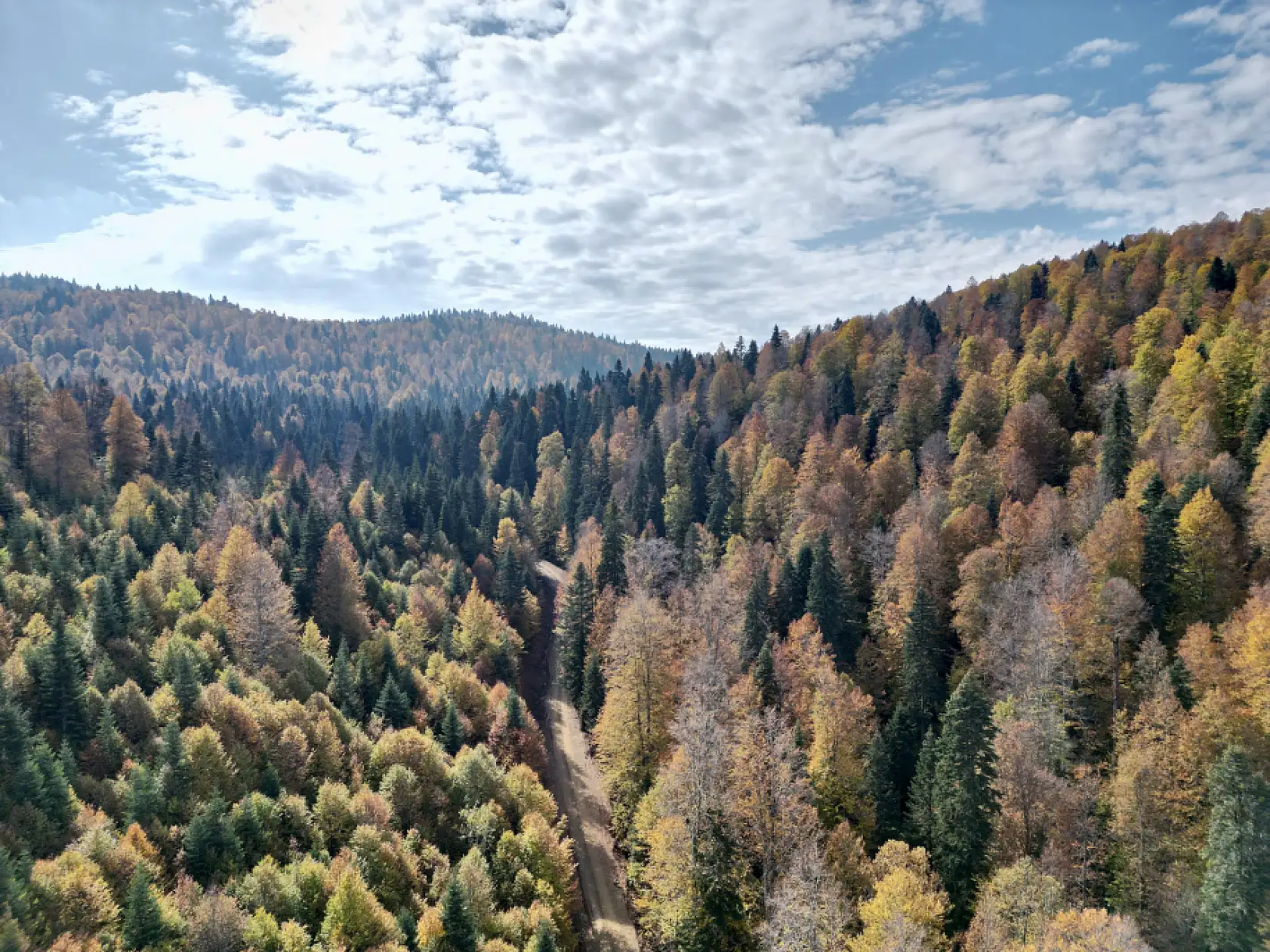 Yaylalarda sonbahar güzelliği