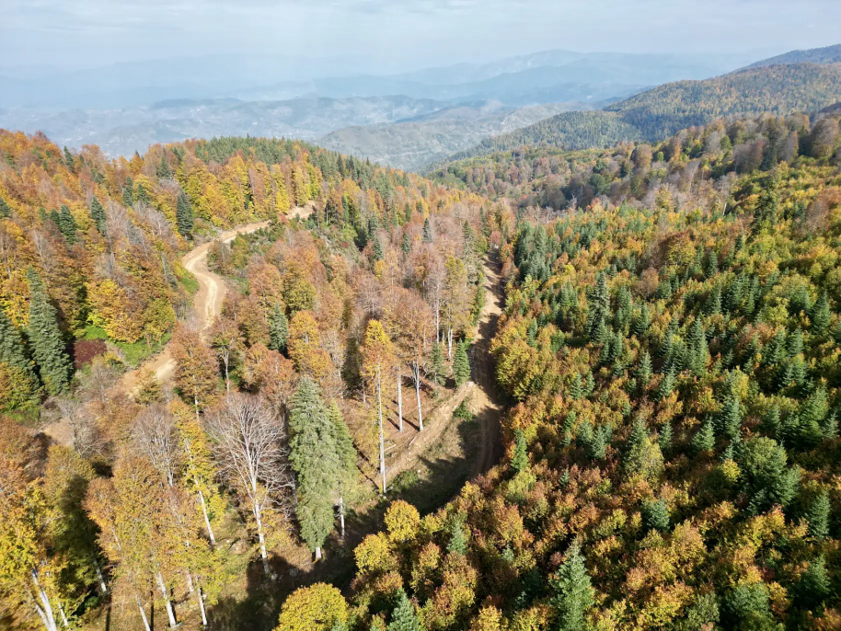 Yaylalarda sonbahar güzelliği