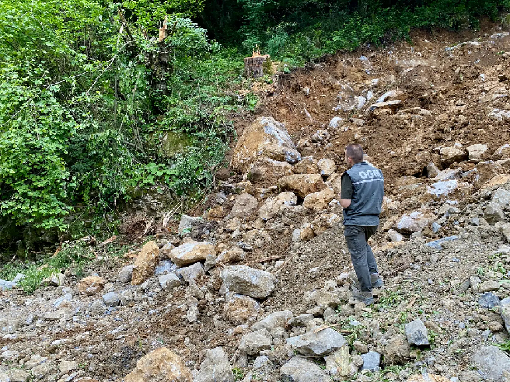 Kesildi satıldı ama yok olmadı