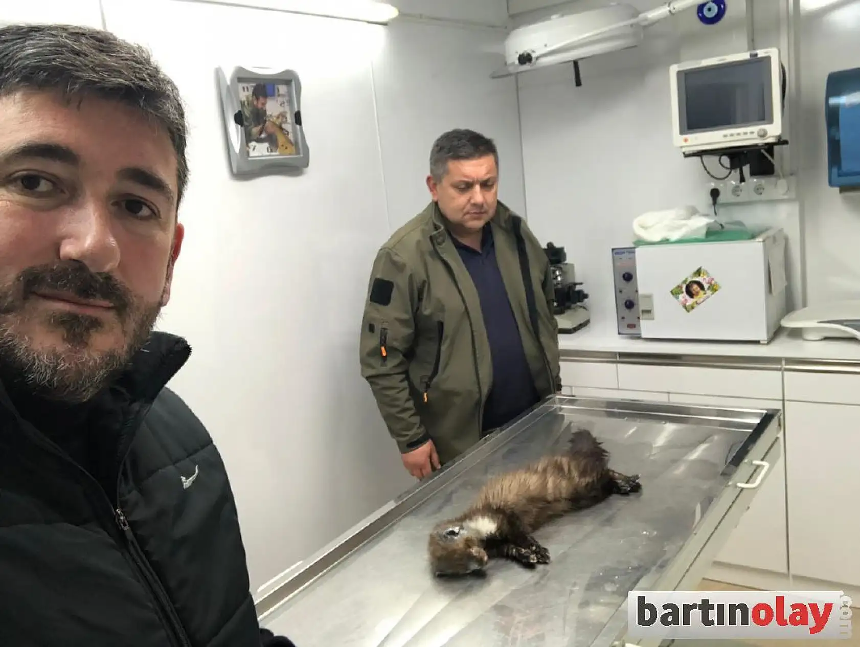 Yaralı sansar tedavi edildi