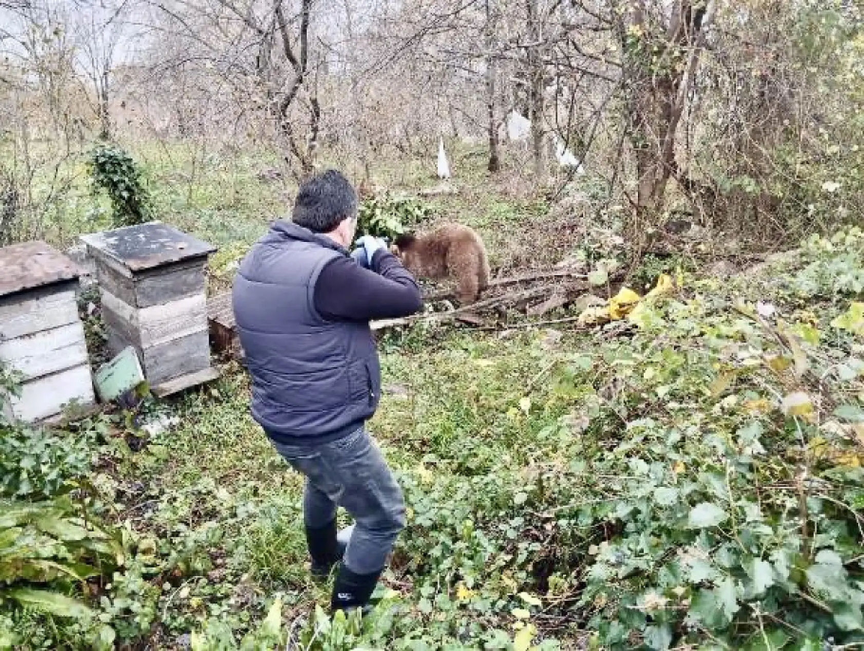 Bahçe teline takılıp mahsur kaldı