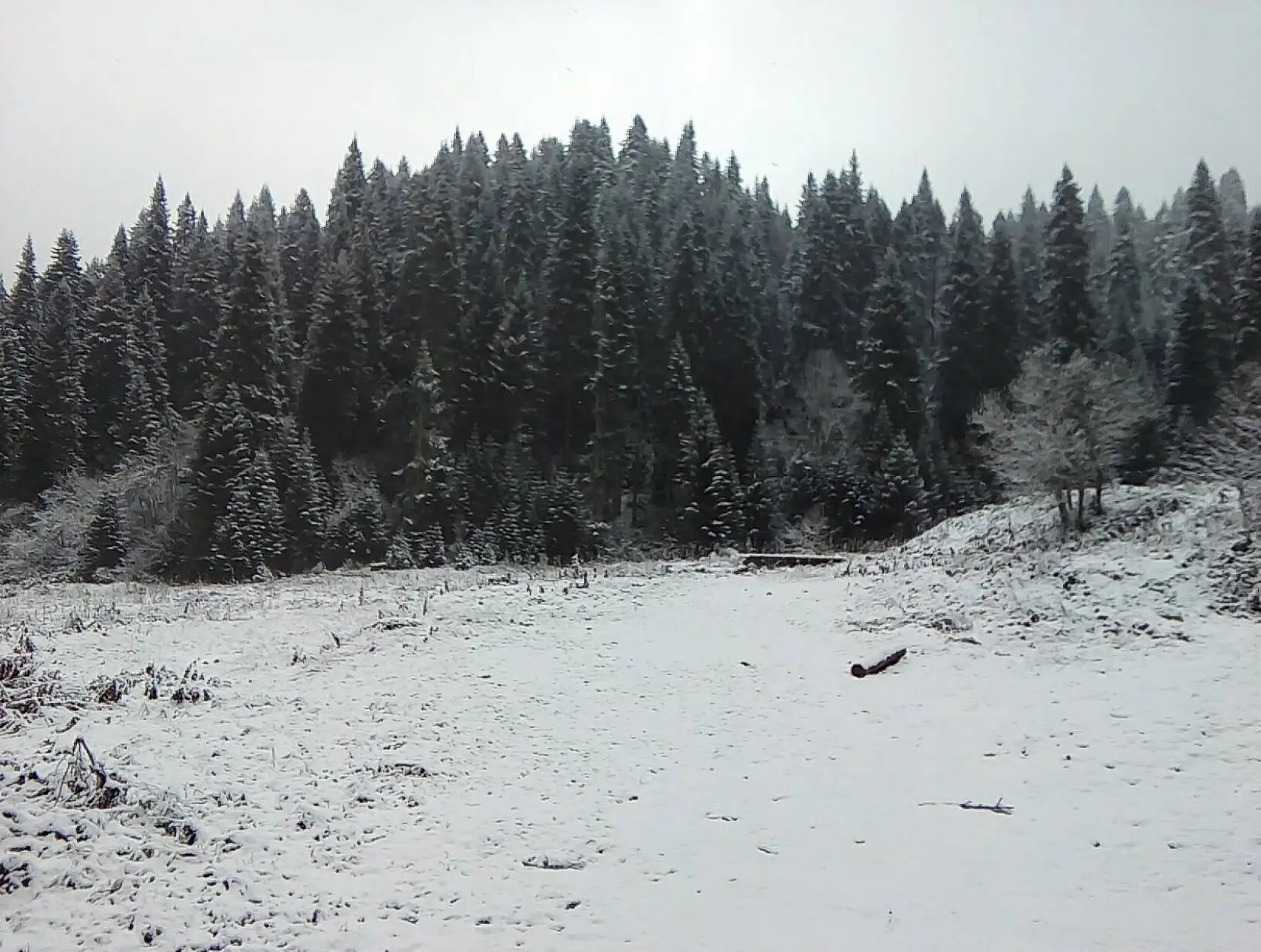 Yüksek kesimlerde kar yağışı