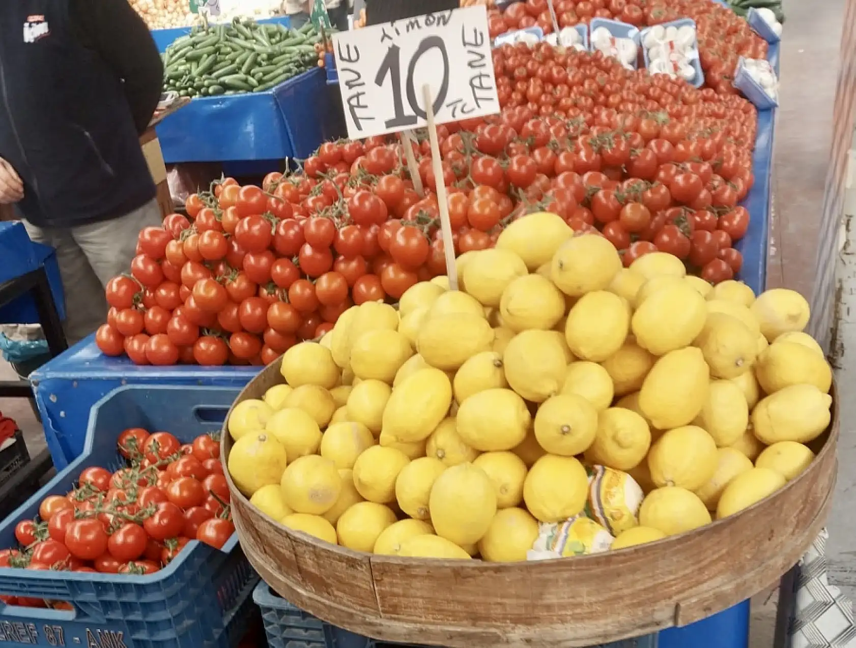 Balıklar oltaya geldi