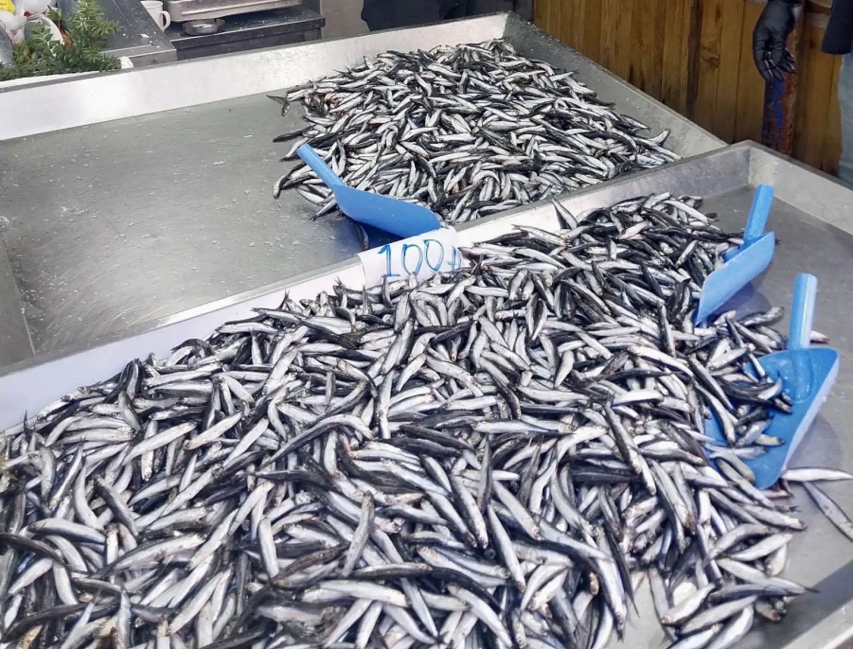 Yılın son balıkları satışta