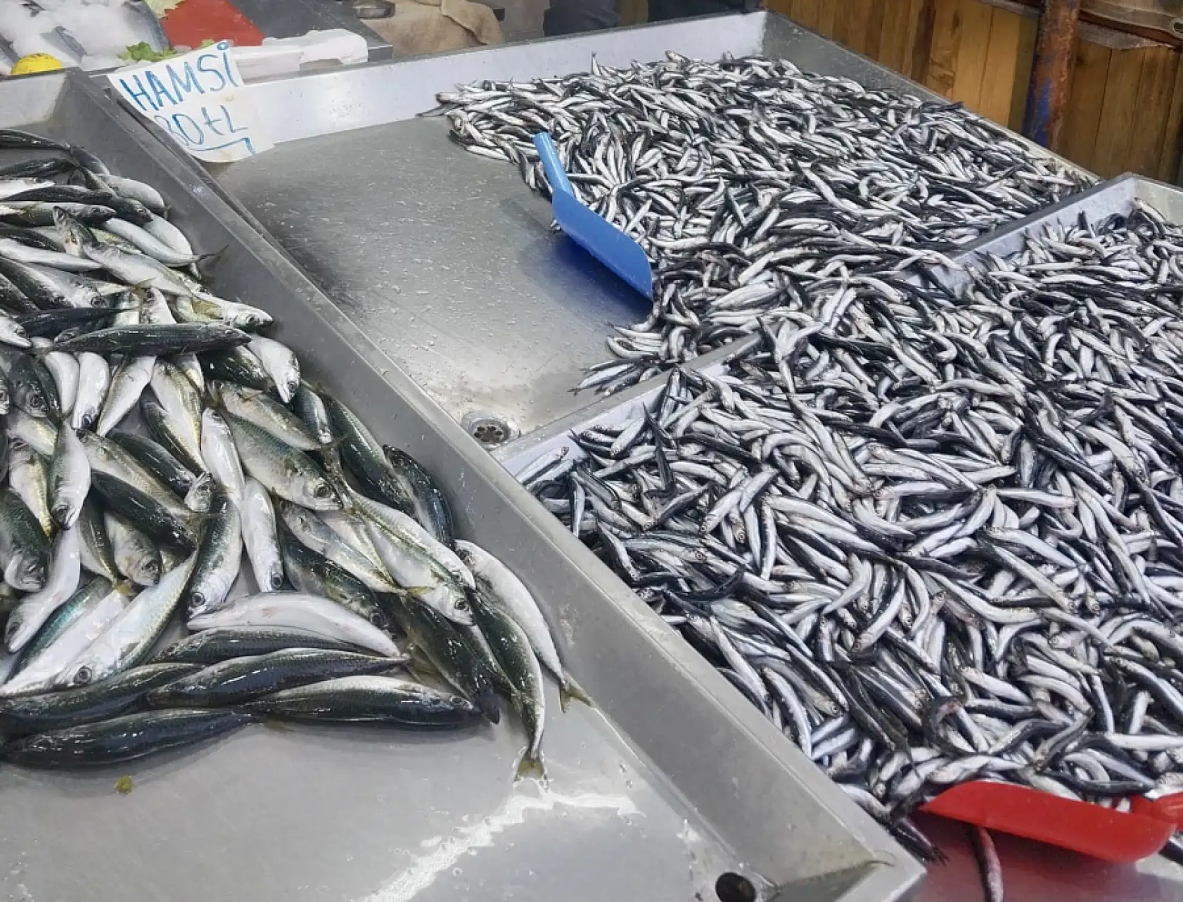 Hamsi bugün kampanyalı