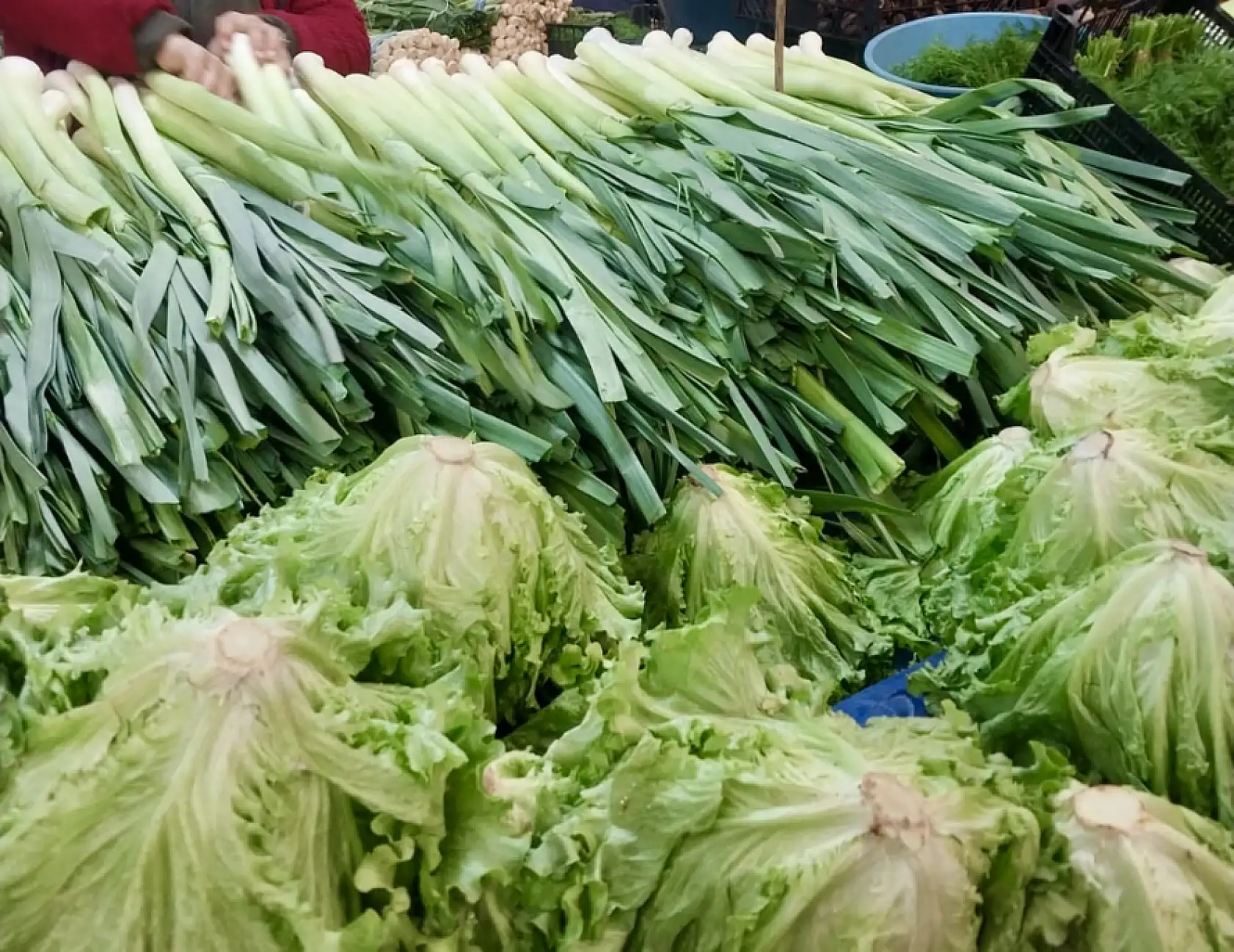 Salı pazarı ne durumda