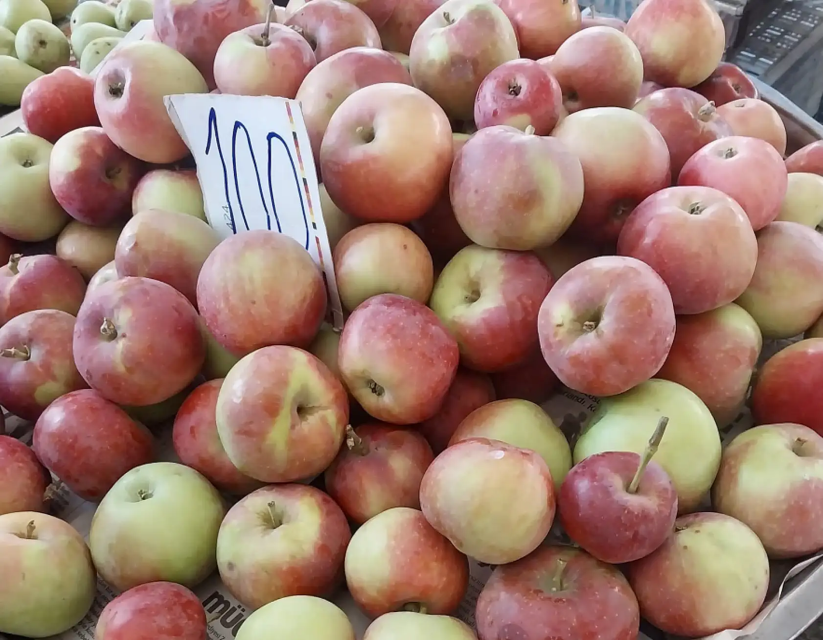 İster al ister alma