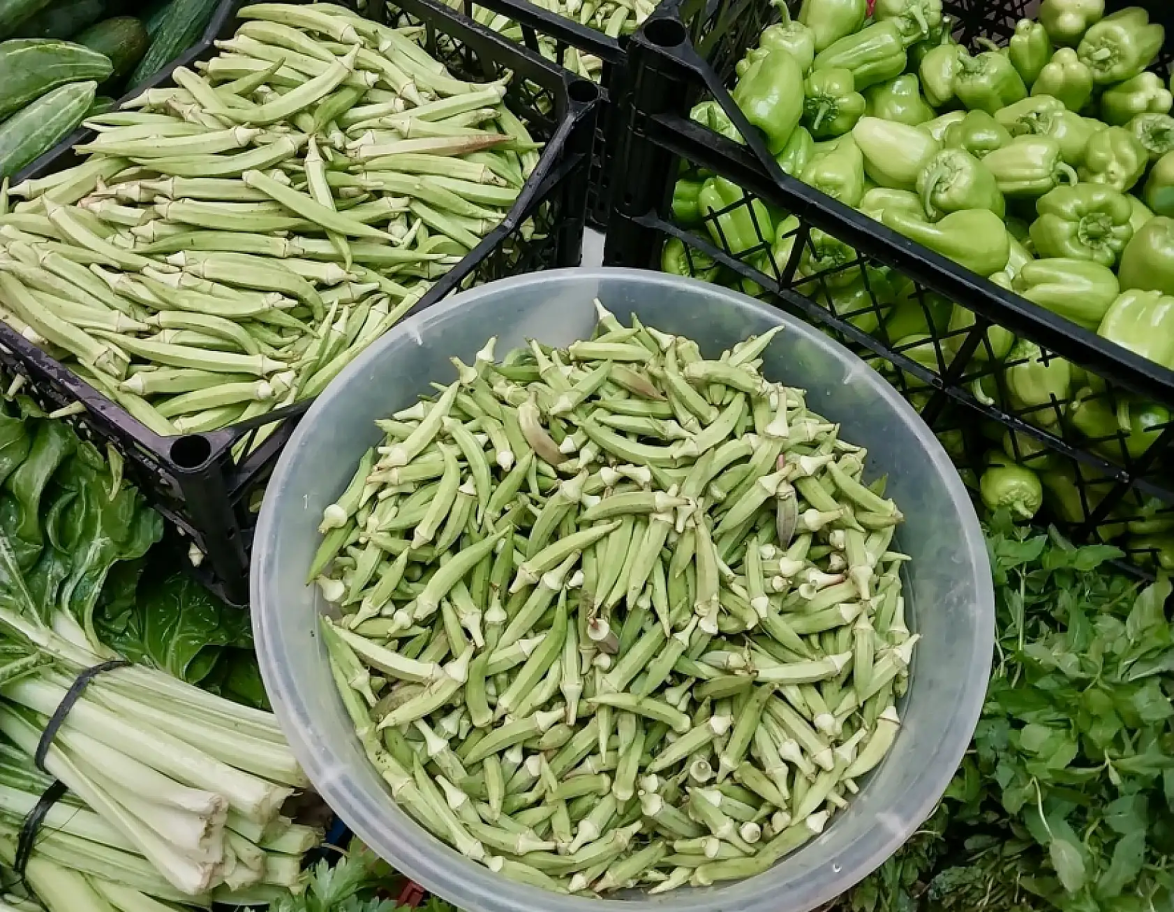 Pazardaki fiyatlarda son durum