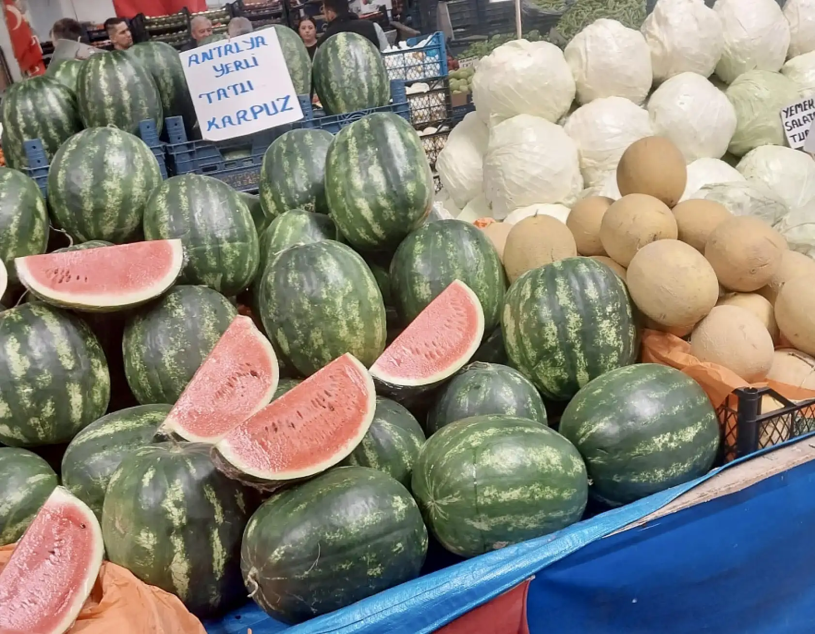 Balıklar oltaya geldi