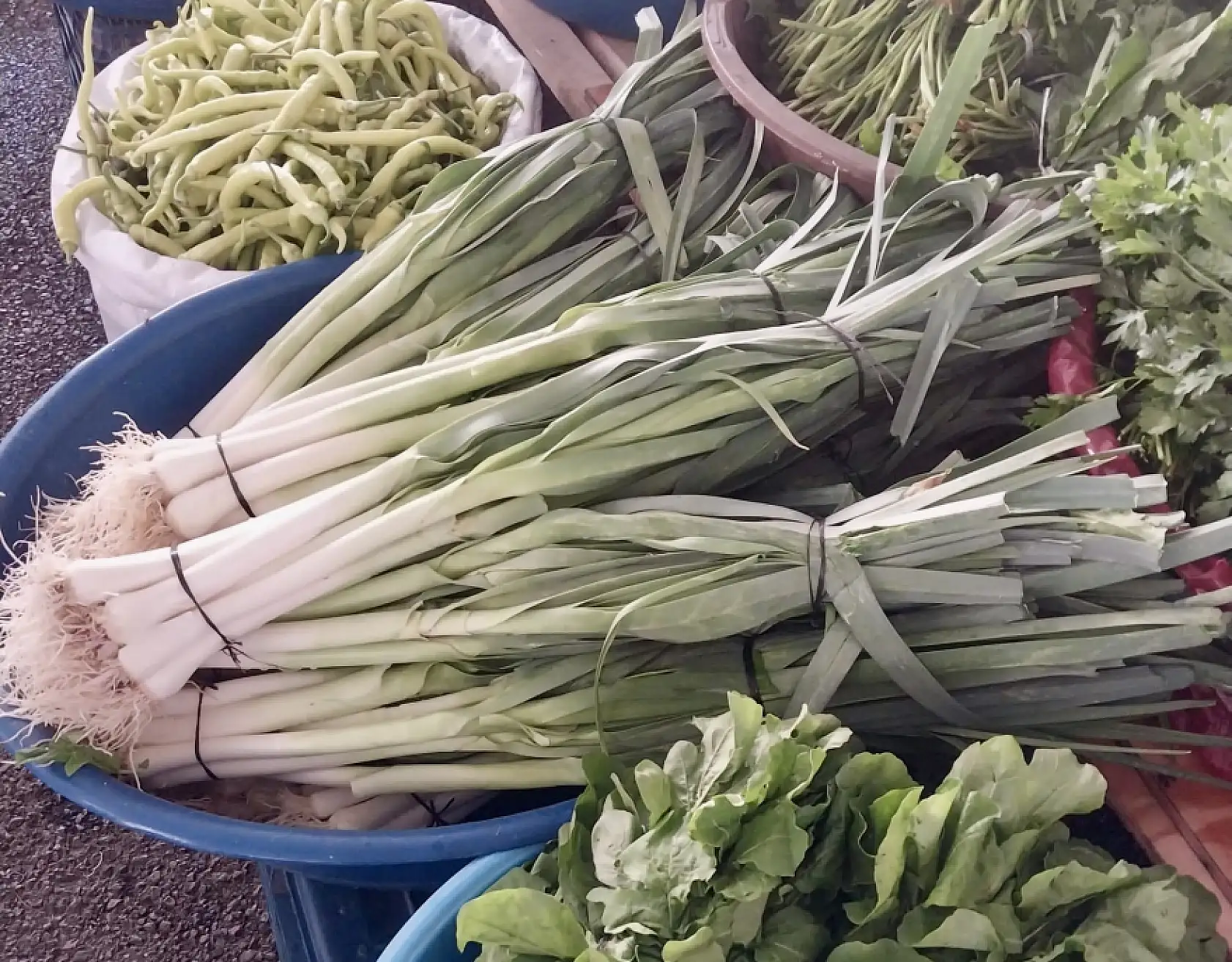 Fasulye inişte, bamya direnişte