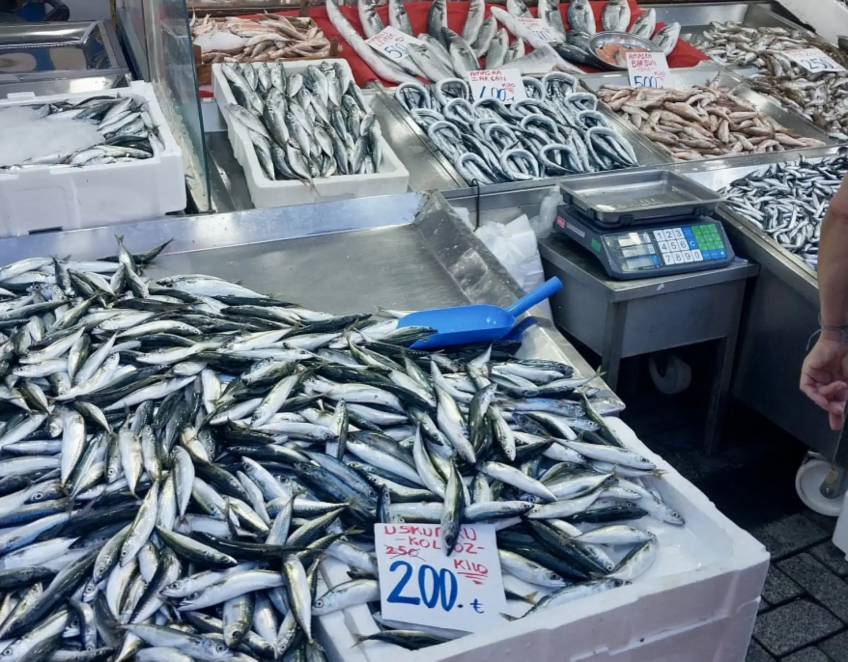 Denizle birlikte fiyatlar da dalgalandı