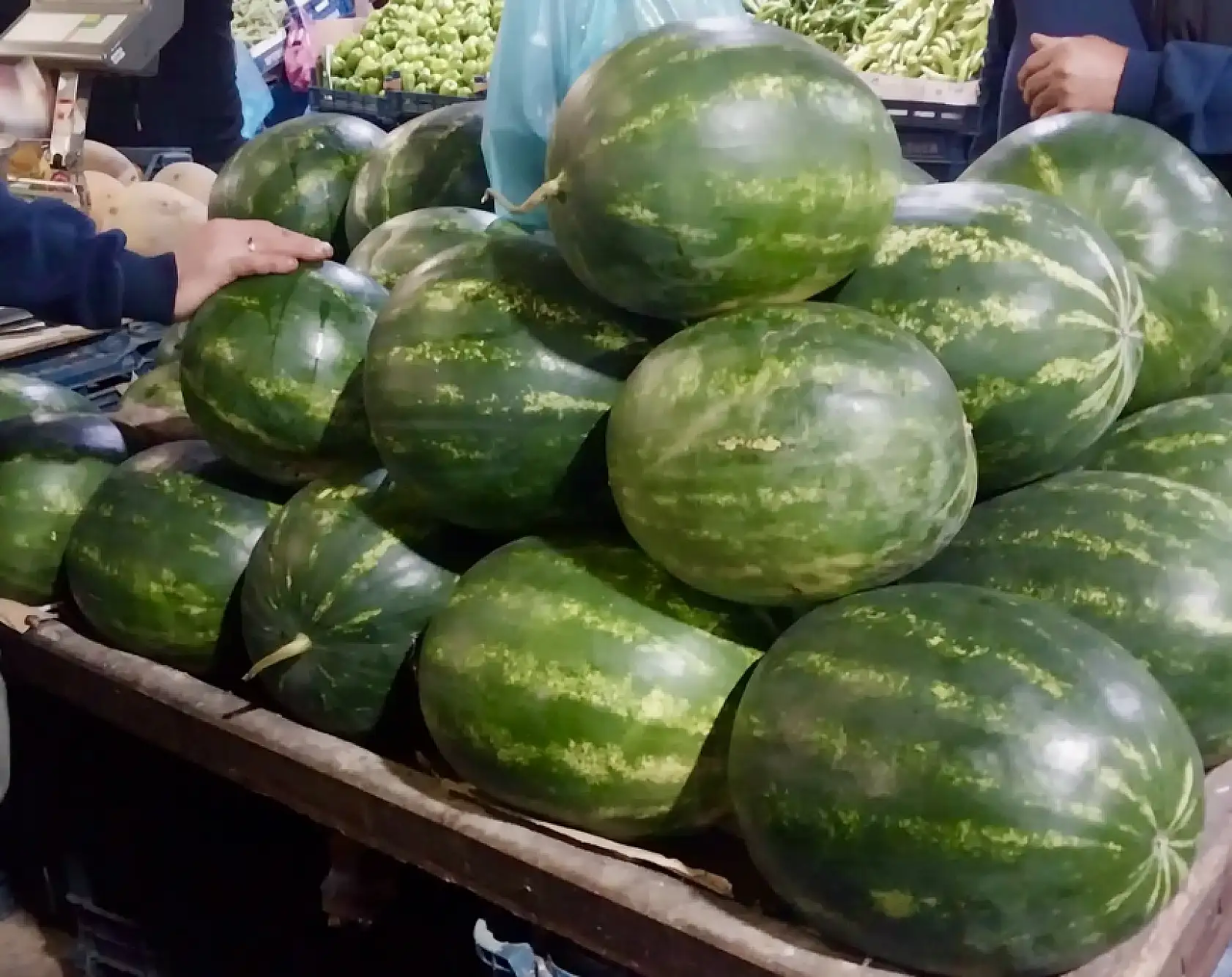 Balıksız kalmıyoruz