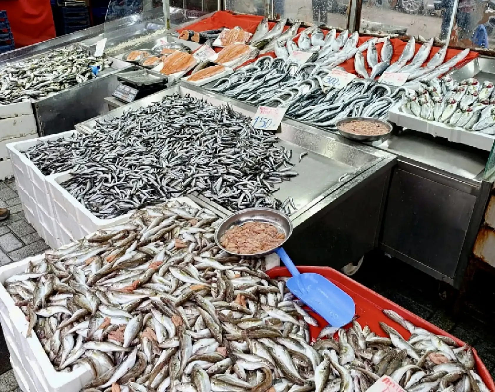 Balıklar boylarına varıncaya kadar ölçüldü