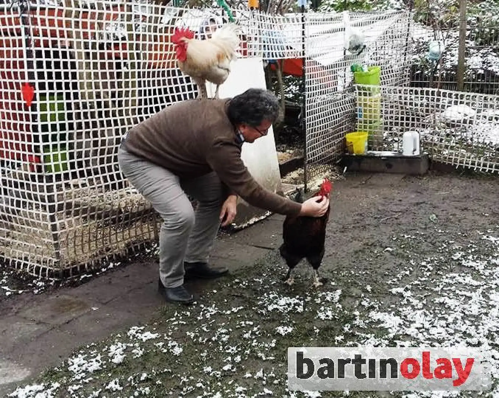 Çok sevdiği horozlarına onun adını koydu