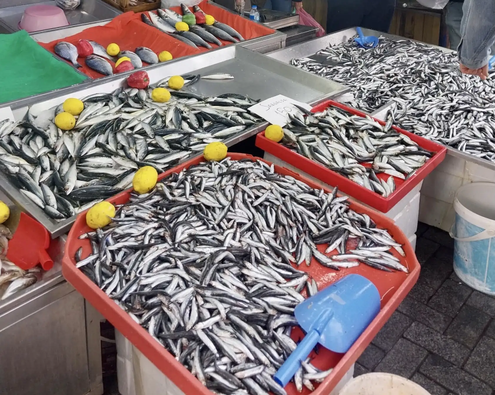 Yetişen alıyor