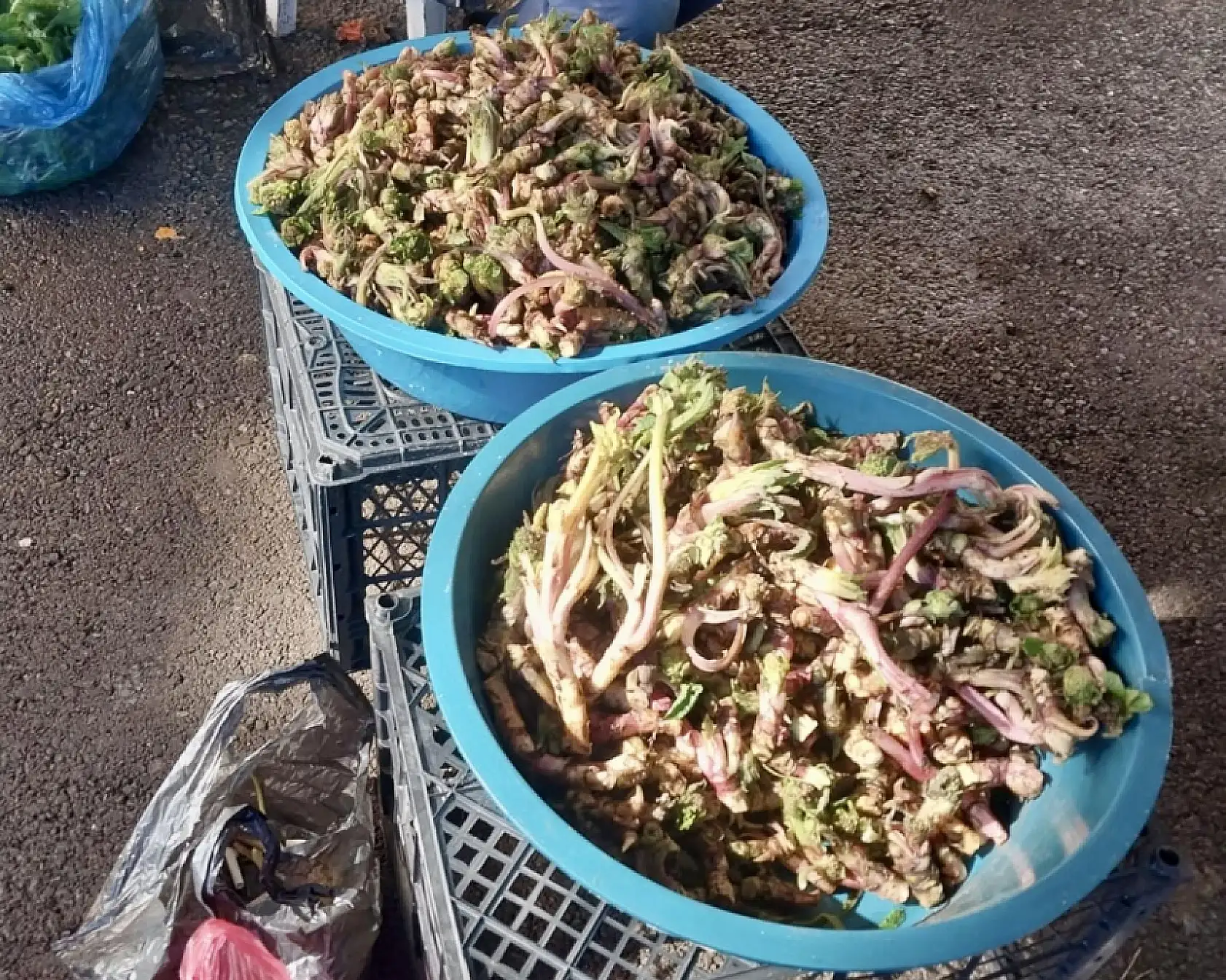 Cuma pazarında son durum