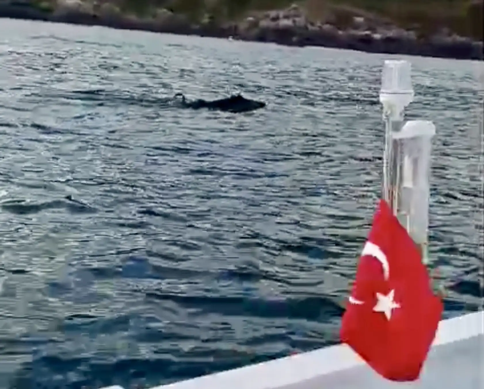 Denizde balıkçıyı şaşırtan görüntü