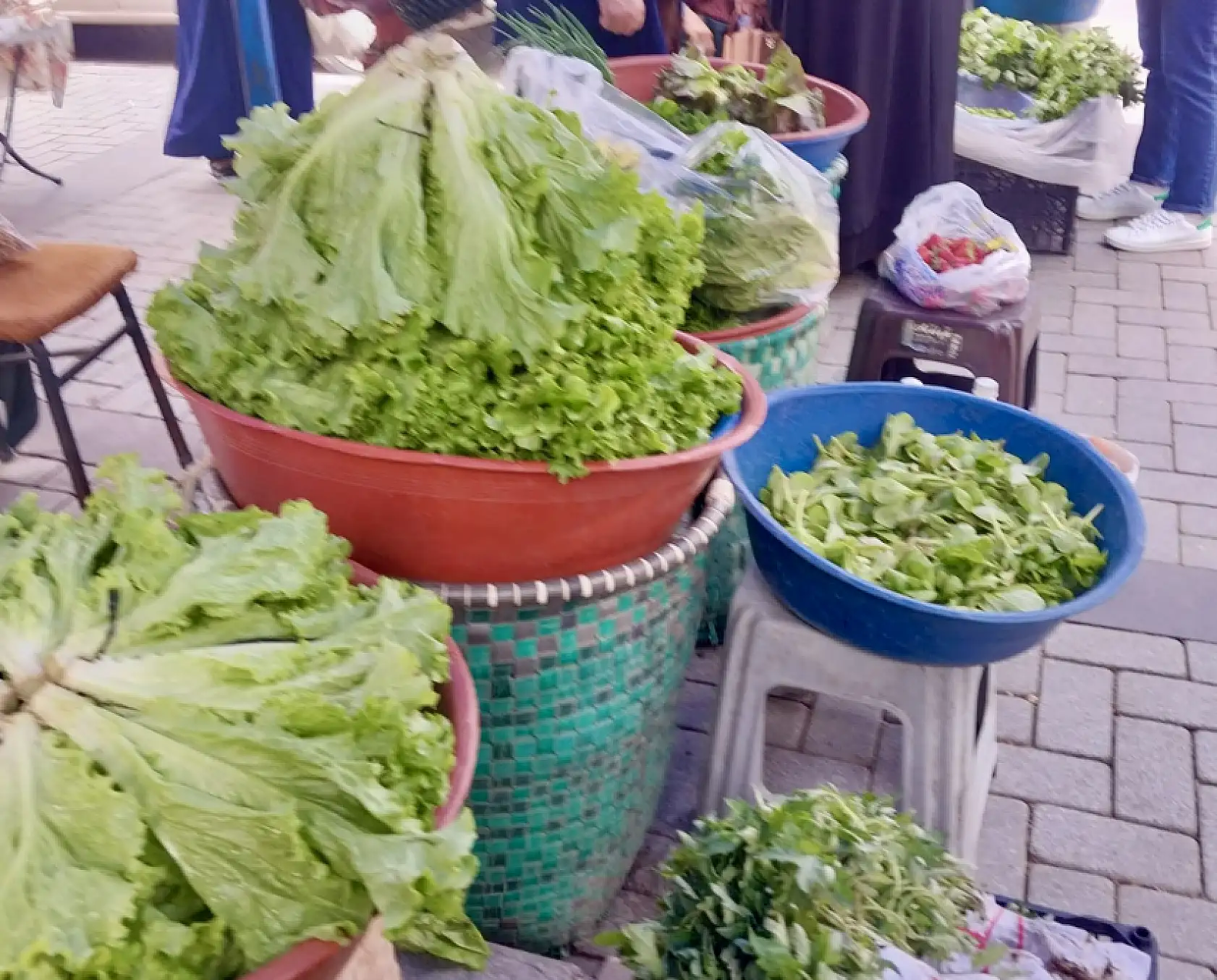 Sezonu yüz liradan açtı