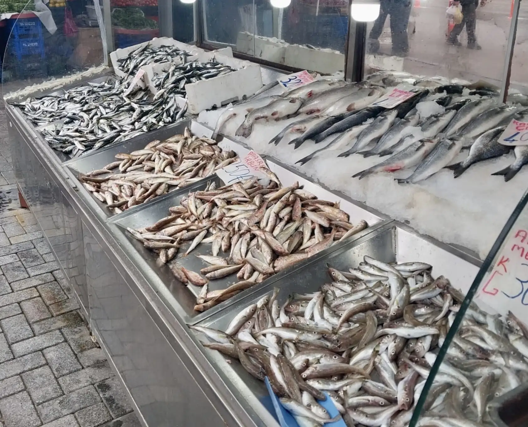 Balıksız kalmıyoruz