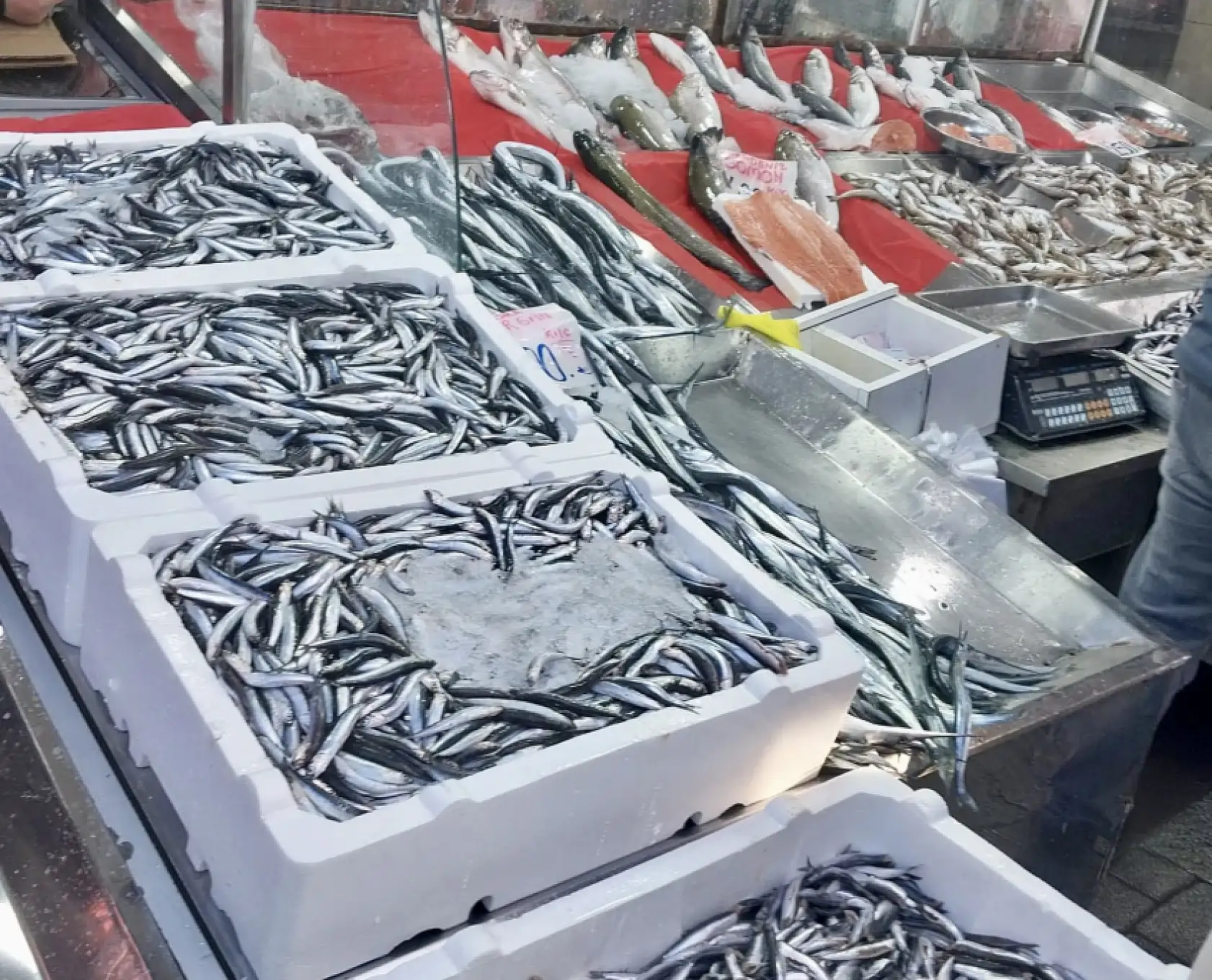 Hamsi bugün kampanyalı