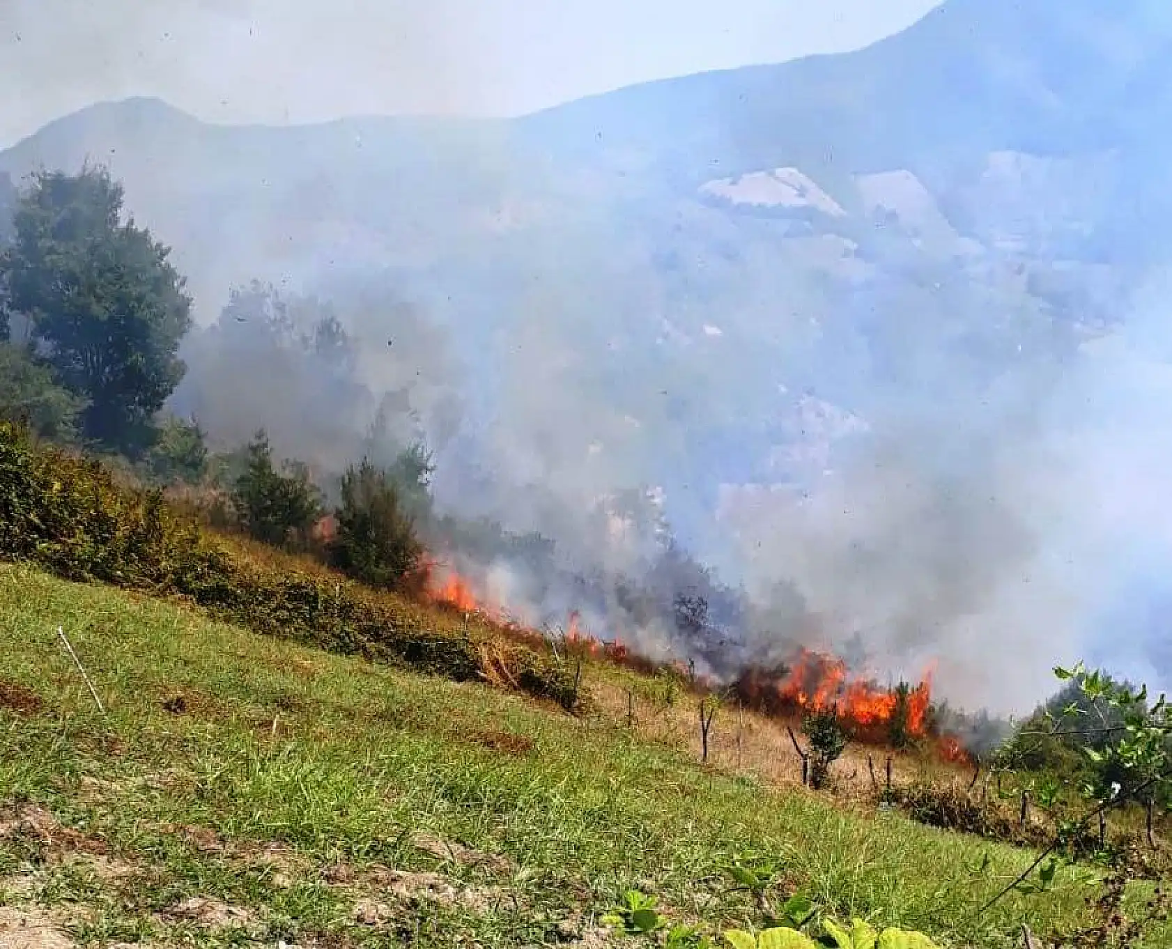 Bartın'da orman yangını