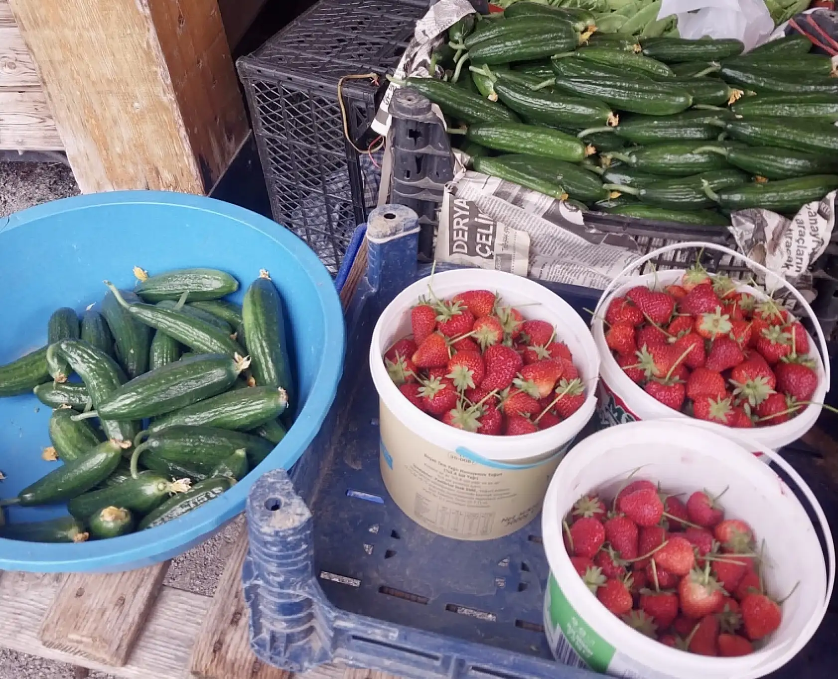 Pazarda bugün ne var ne yok