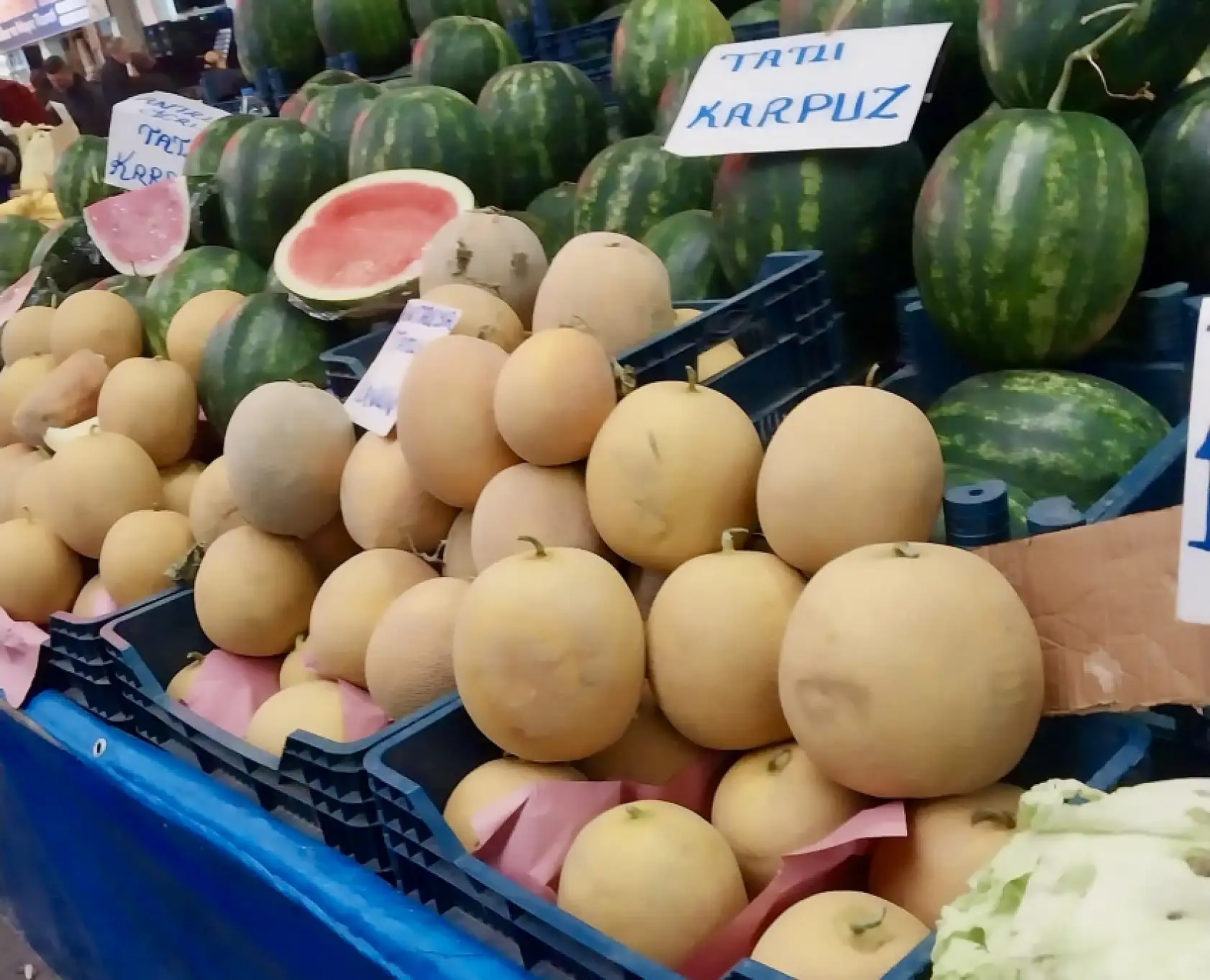 Balıksız kalmıyoruz