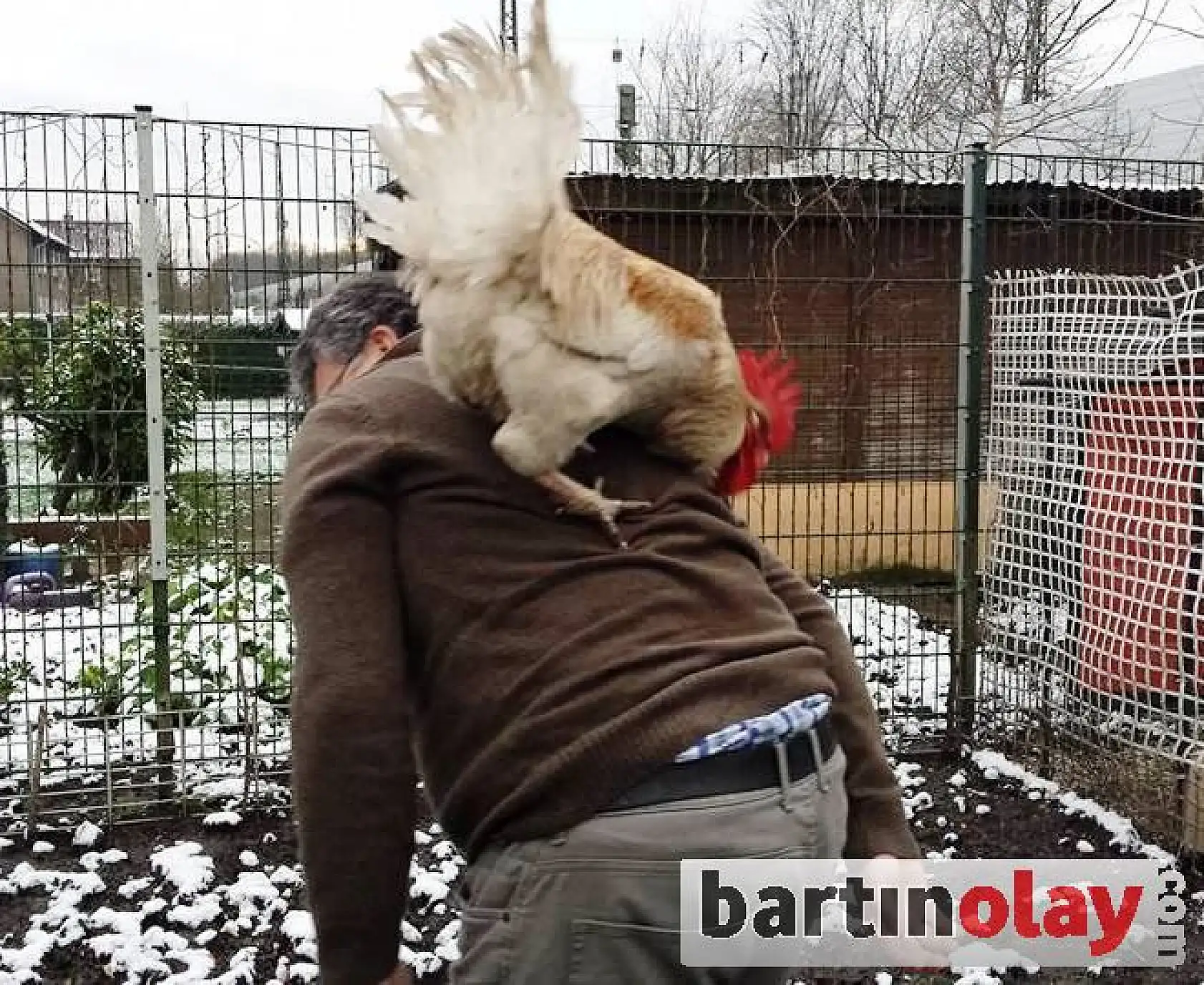 Çok sevdiği horozlarına onun adını koydu