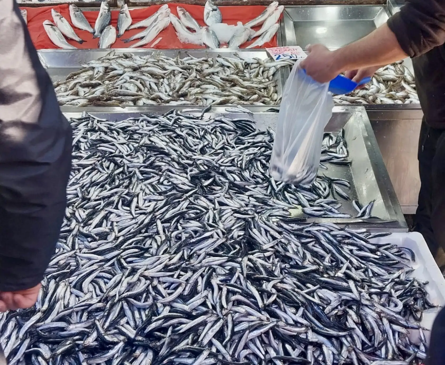 Hamsiye mezgite doyacaksınız