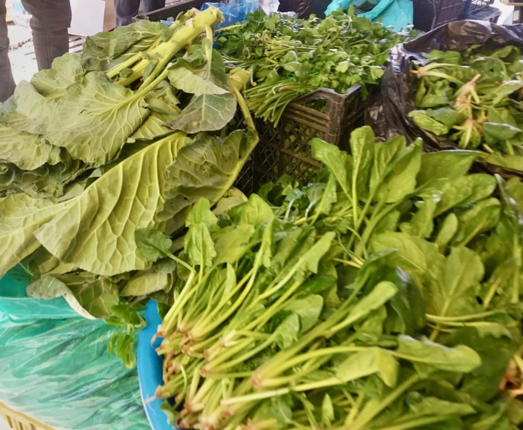 Salı pazarı ne durumda