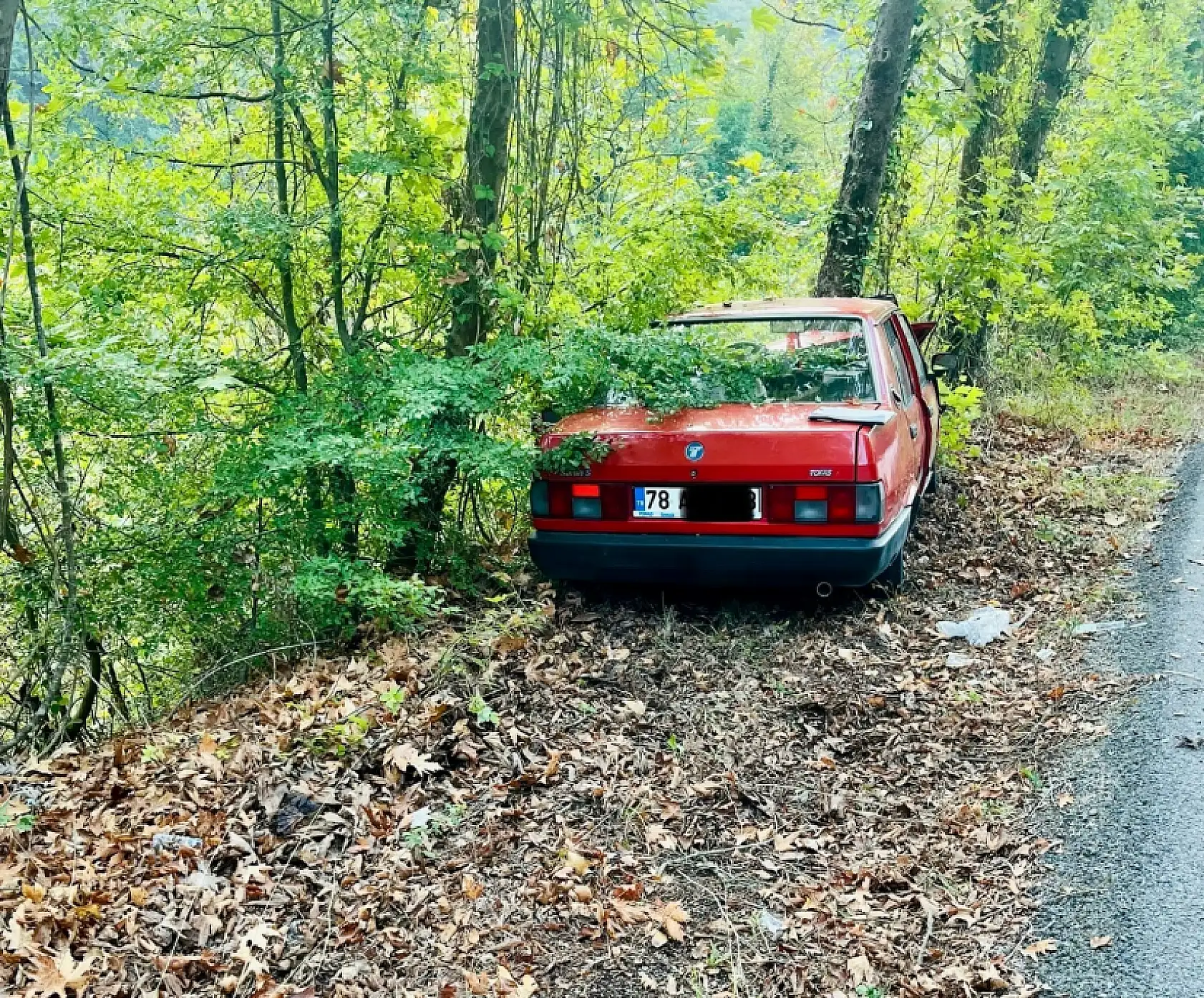 Yoldan çıkan otomobil ağaca çarptı