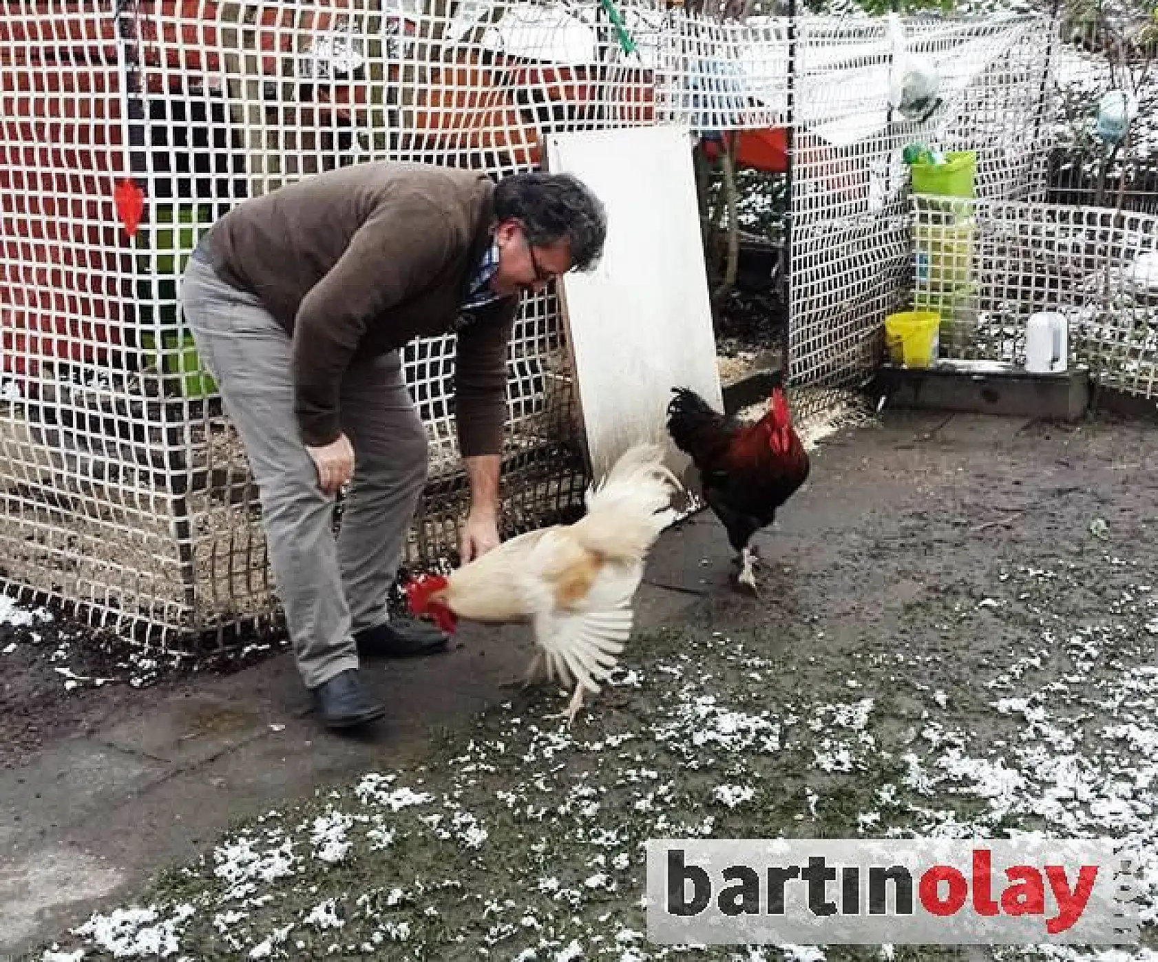 Çok sevdiği horozlarına onun adını koydu