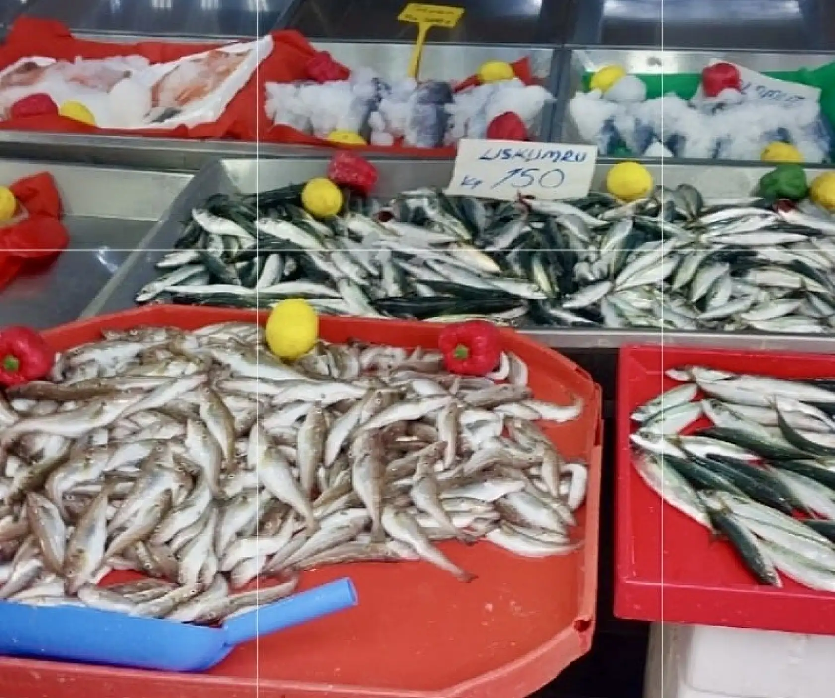 Her bütçeye uygun balık var!