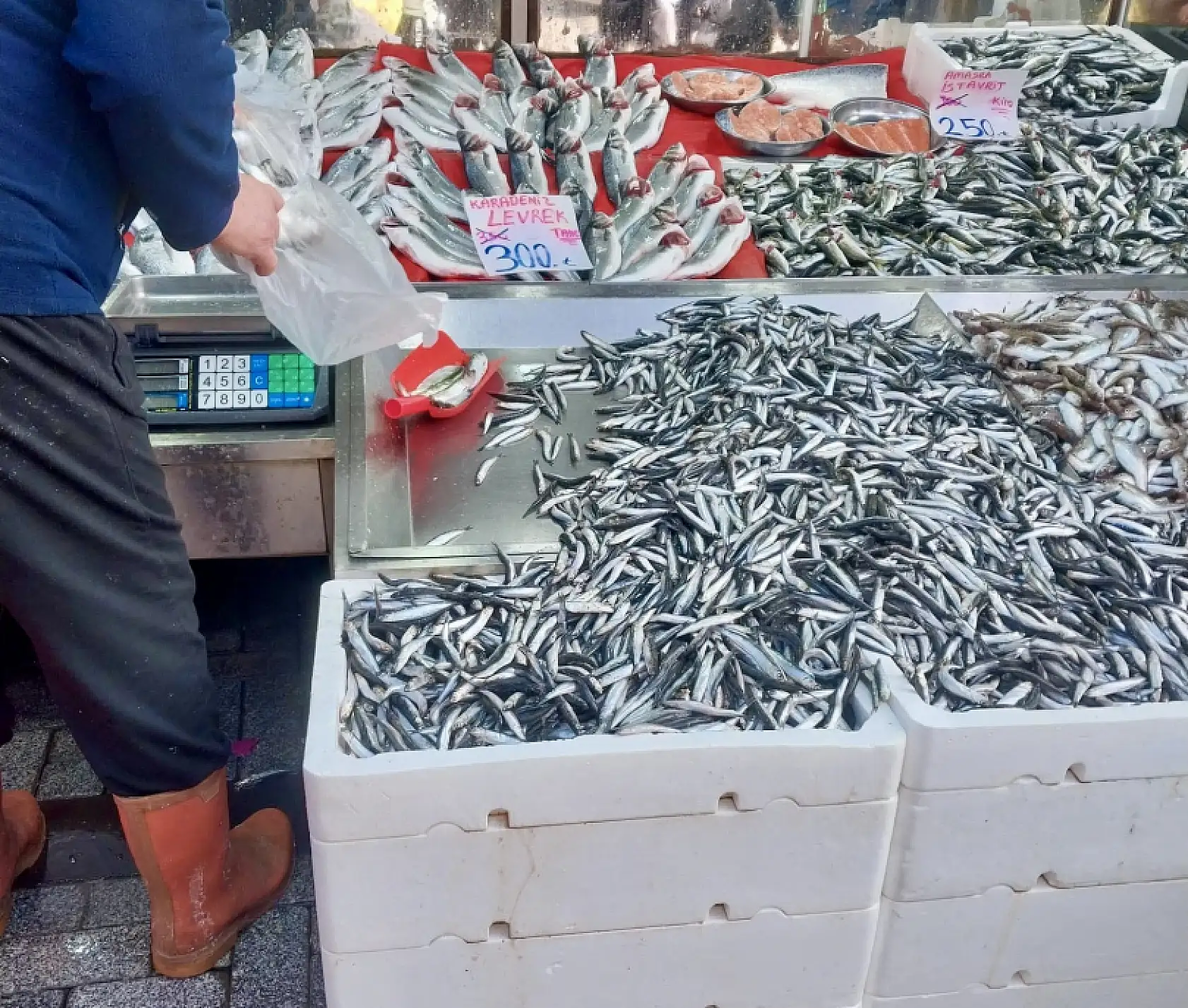 Tezgahın kralı geldi