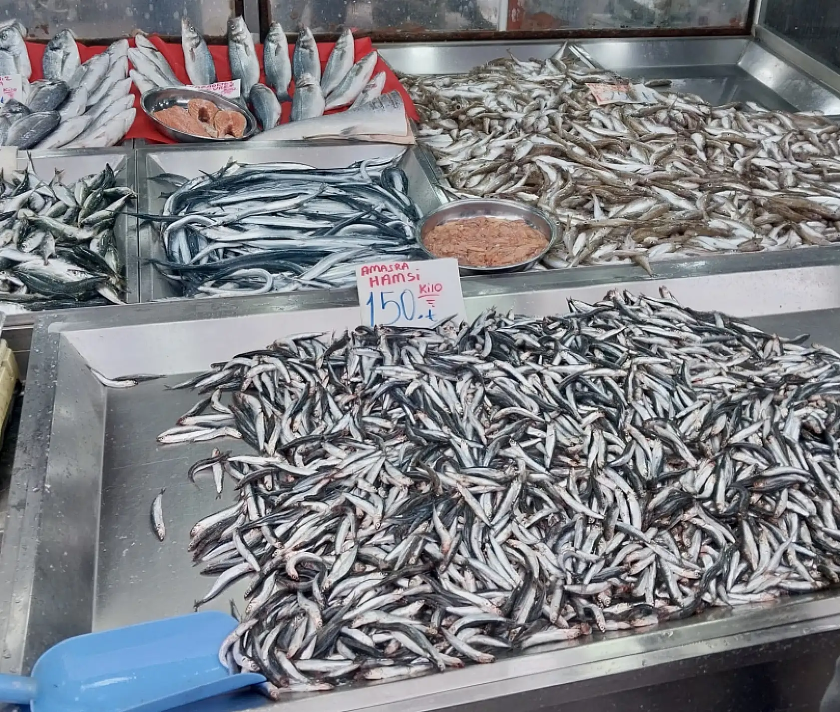 Deniz veriyor, tezgahlar boş kalmıyor