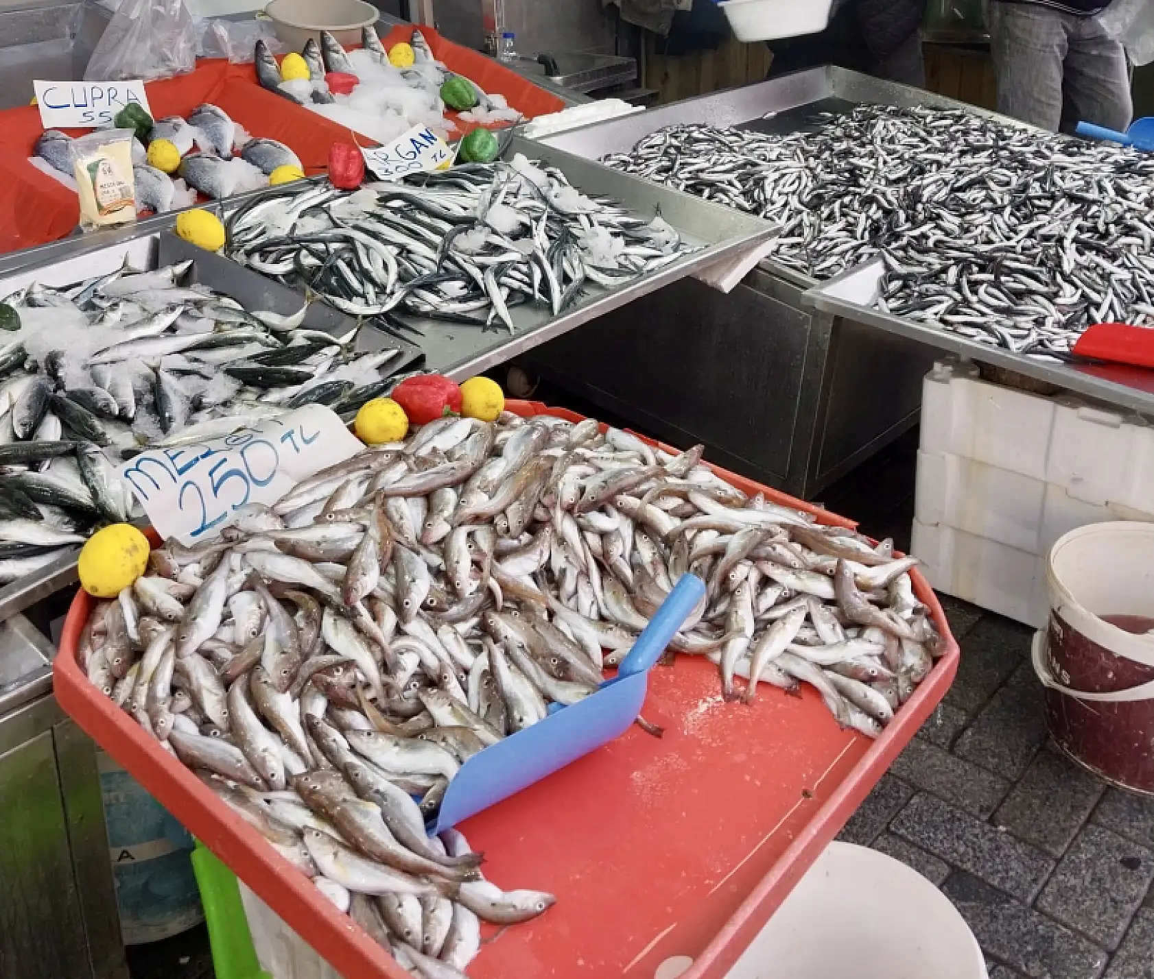 Fiyatlar asansör misali