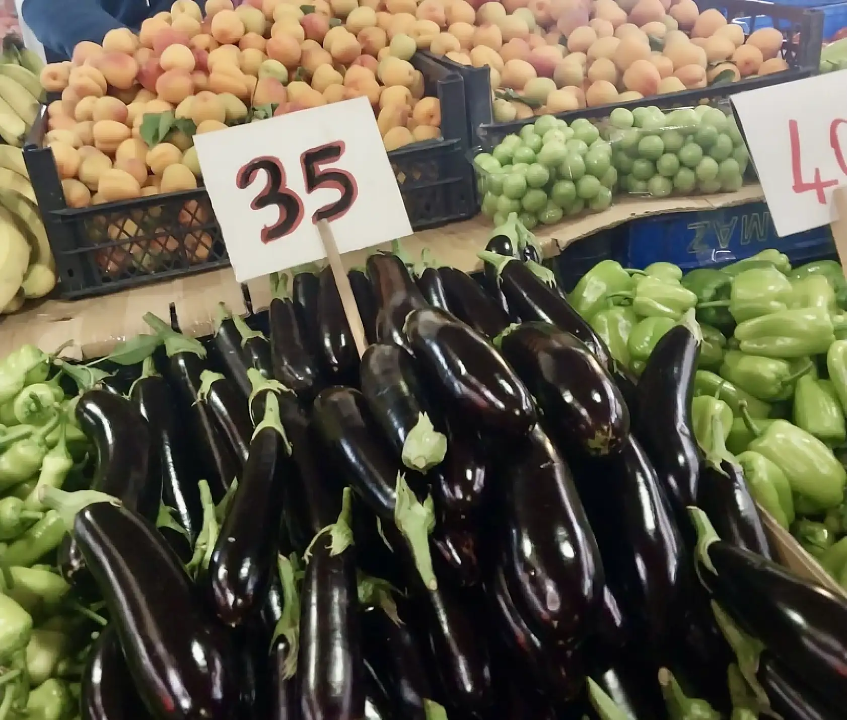 Balıksız kalmıyoruz