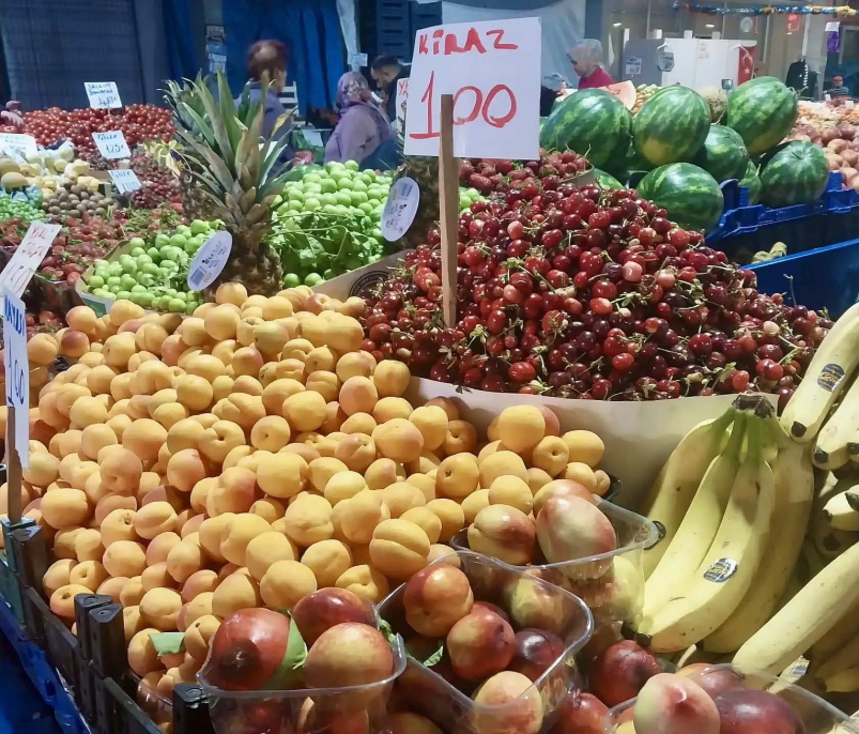 Sezonu yüz liradan açtı