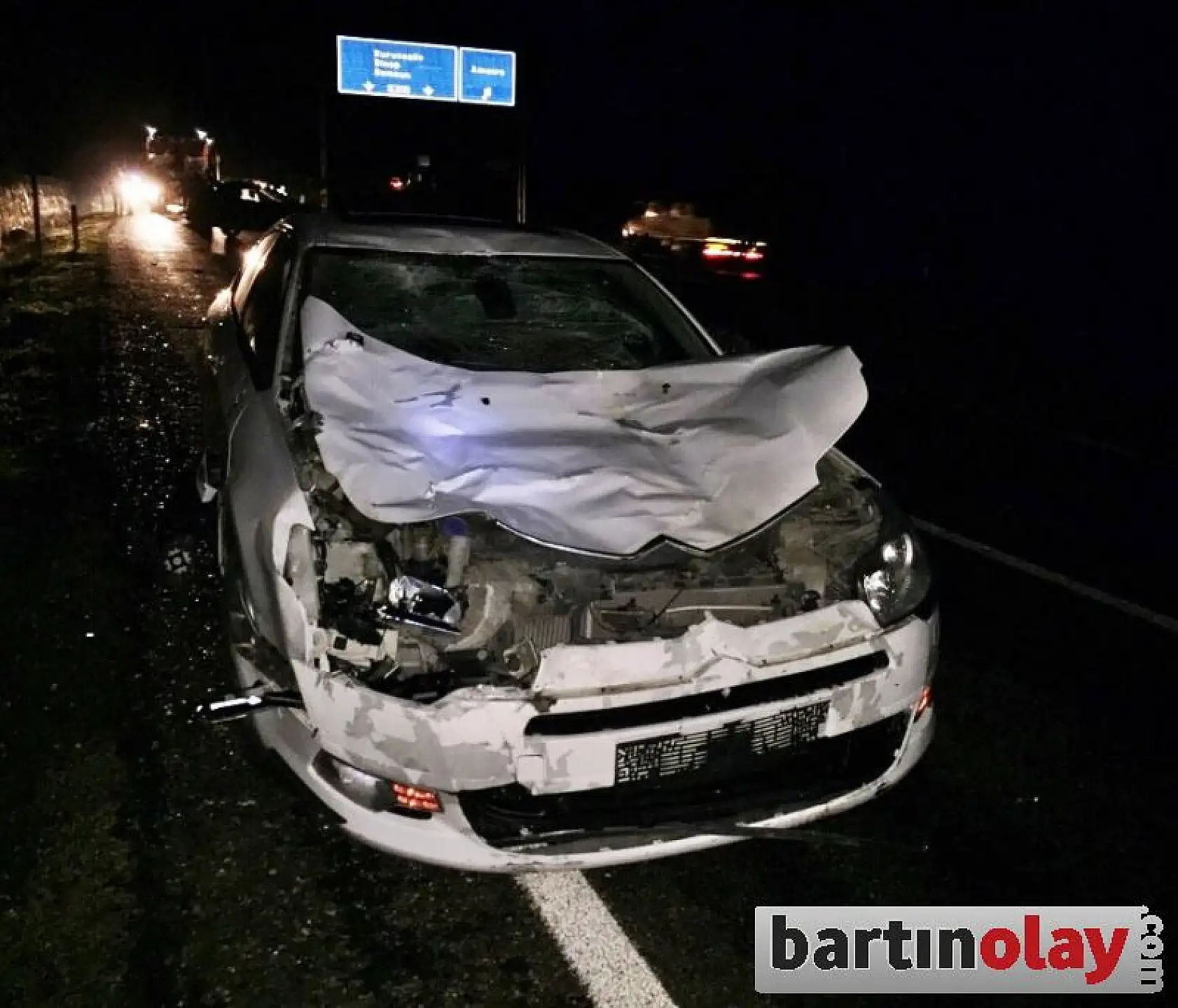 Hayvana çarpan iki otomobil hurdaya döndü