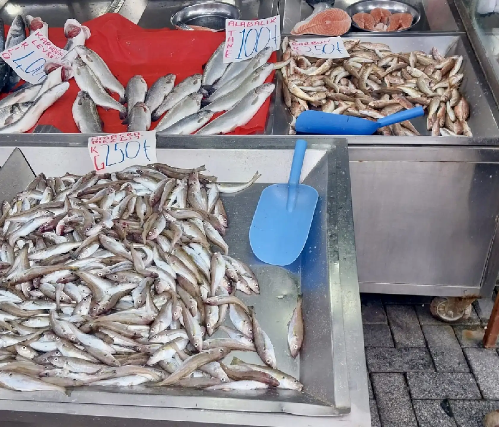 Pazarda bugün ne var ne yok