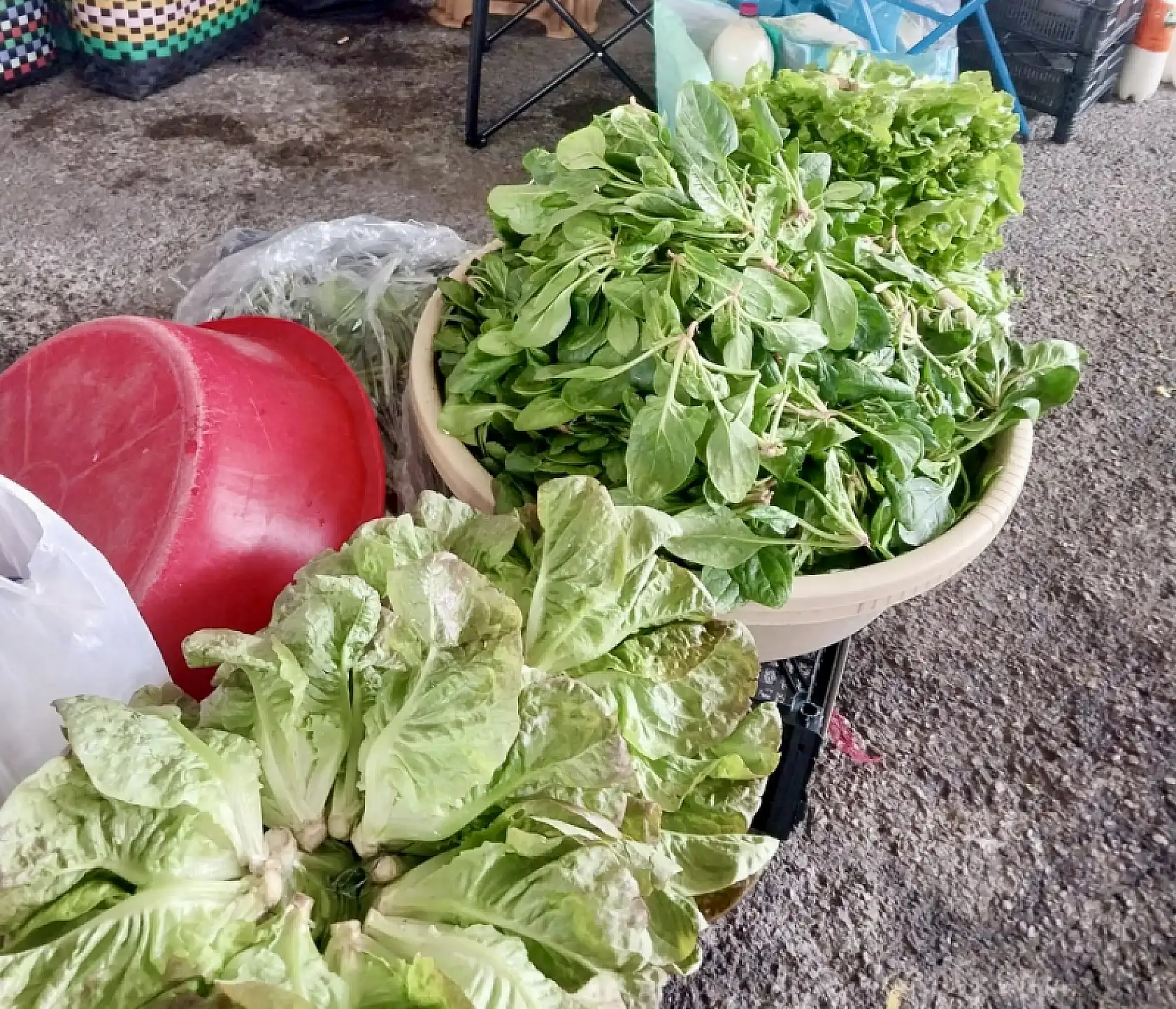 Sezon bitmeden balığa doyun