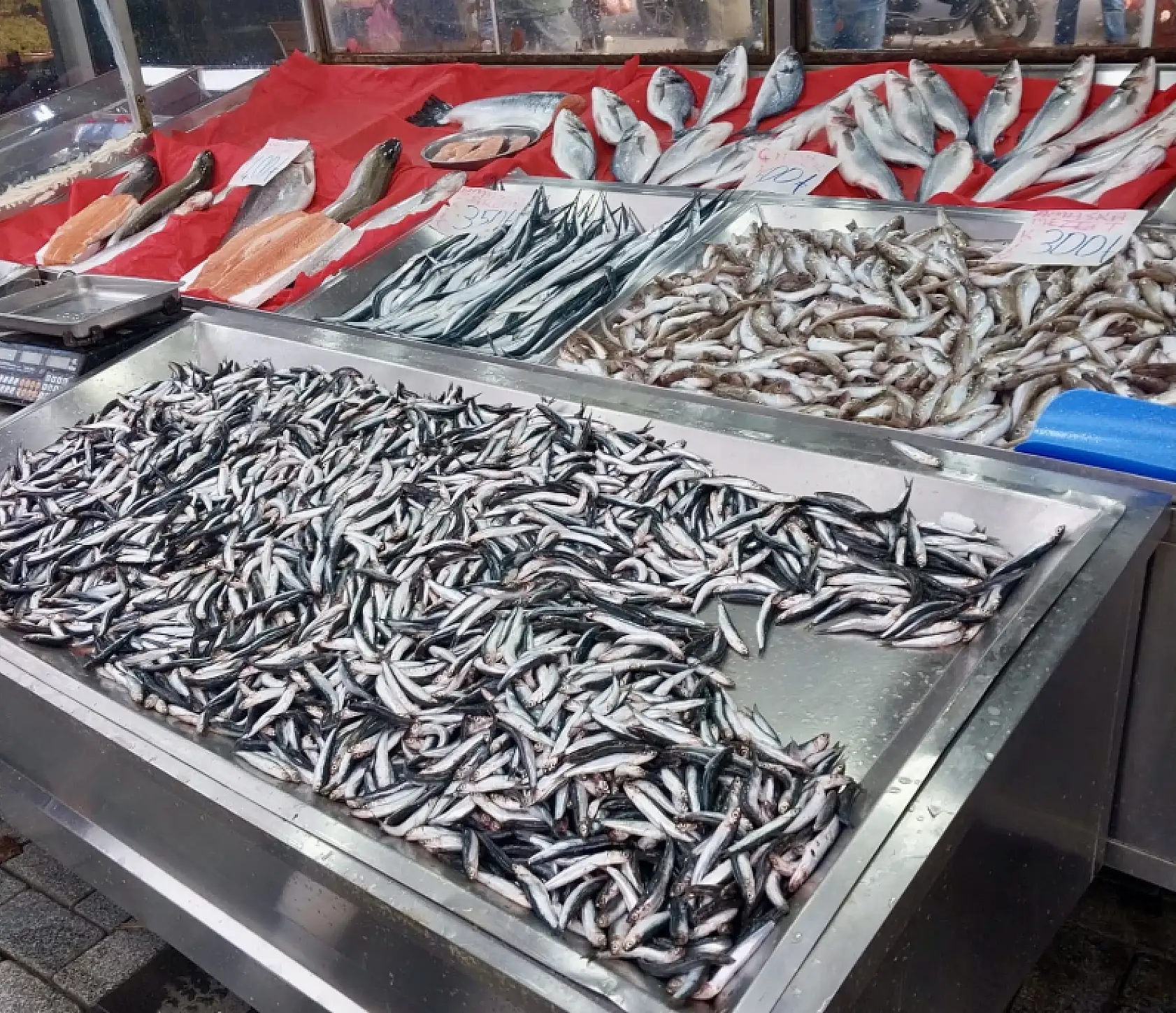 Tezgahın en uygun balığı