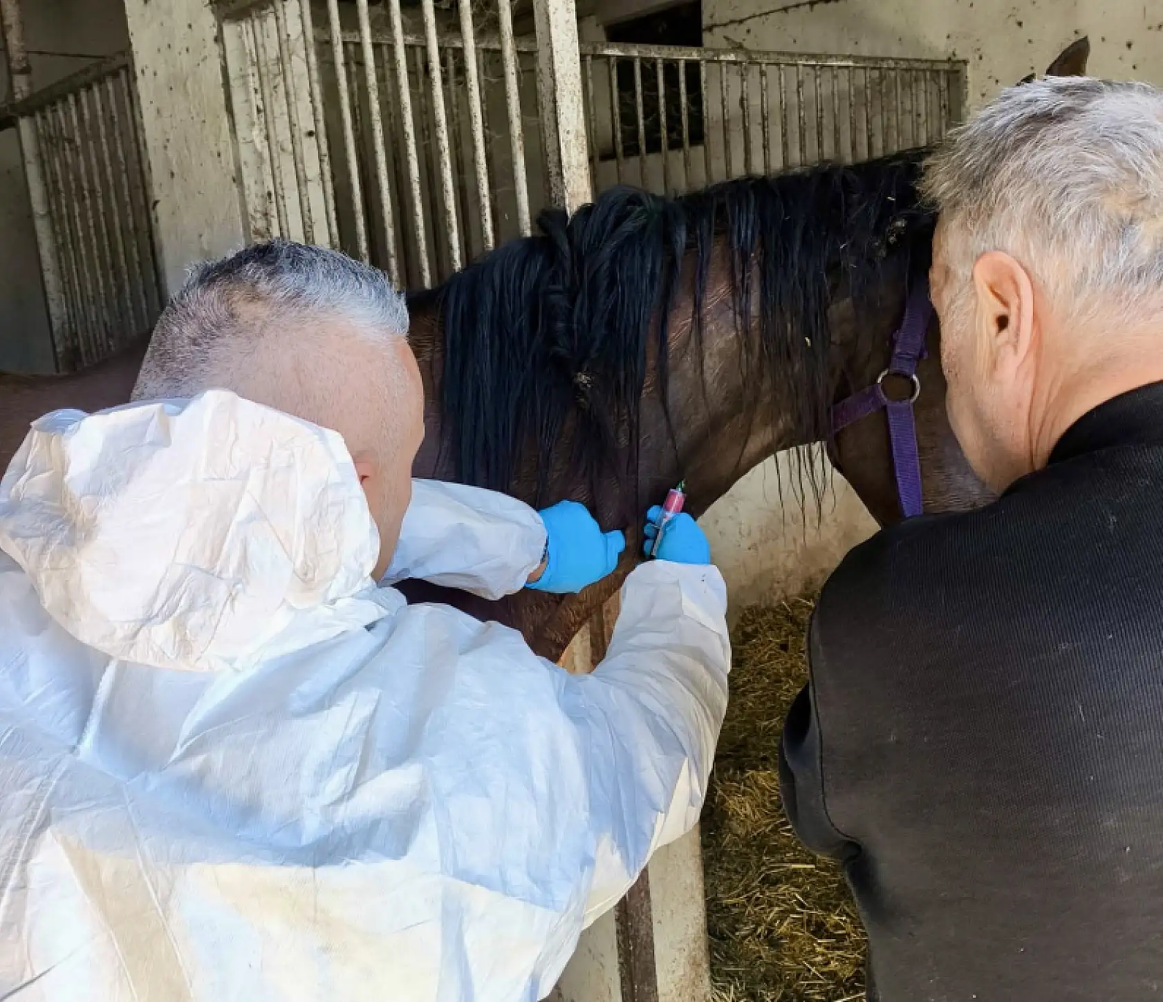 Değeri dudak uçuklatıyor