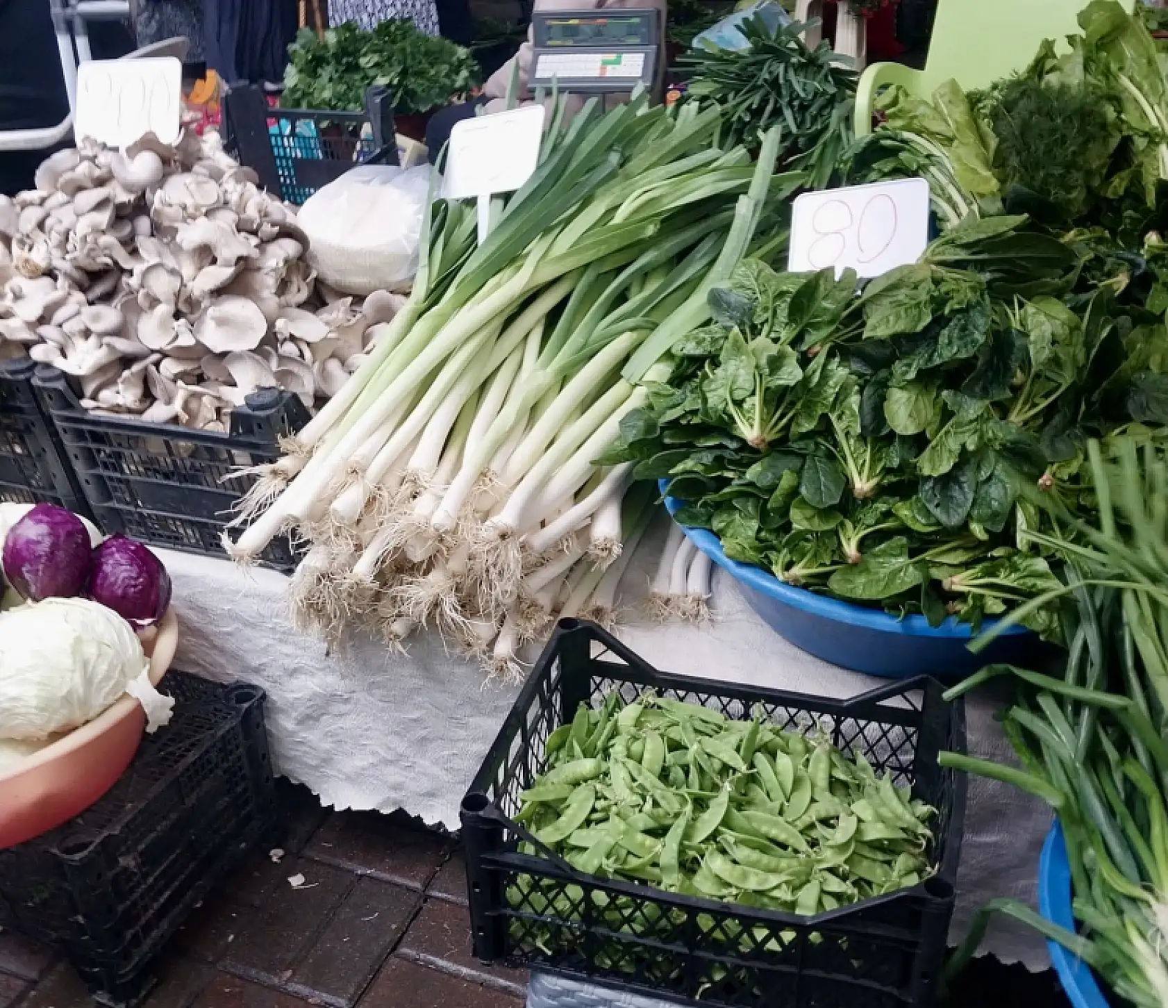 Yeni yılda yeni ürünler