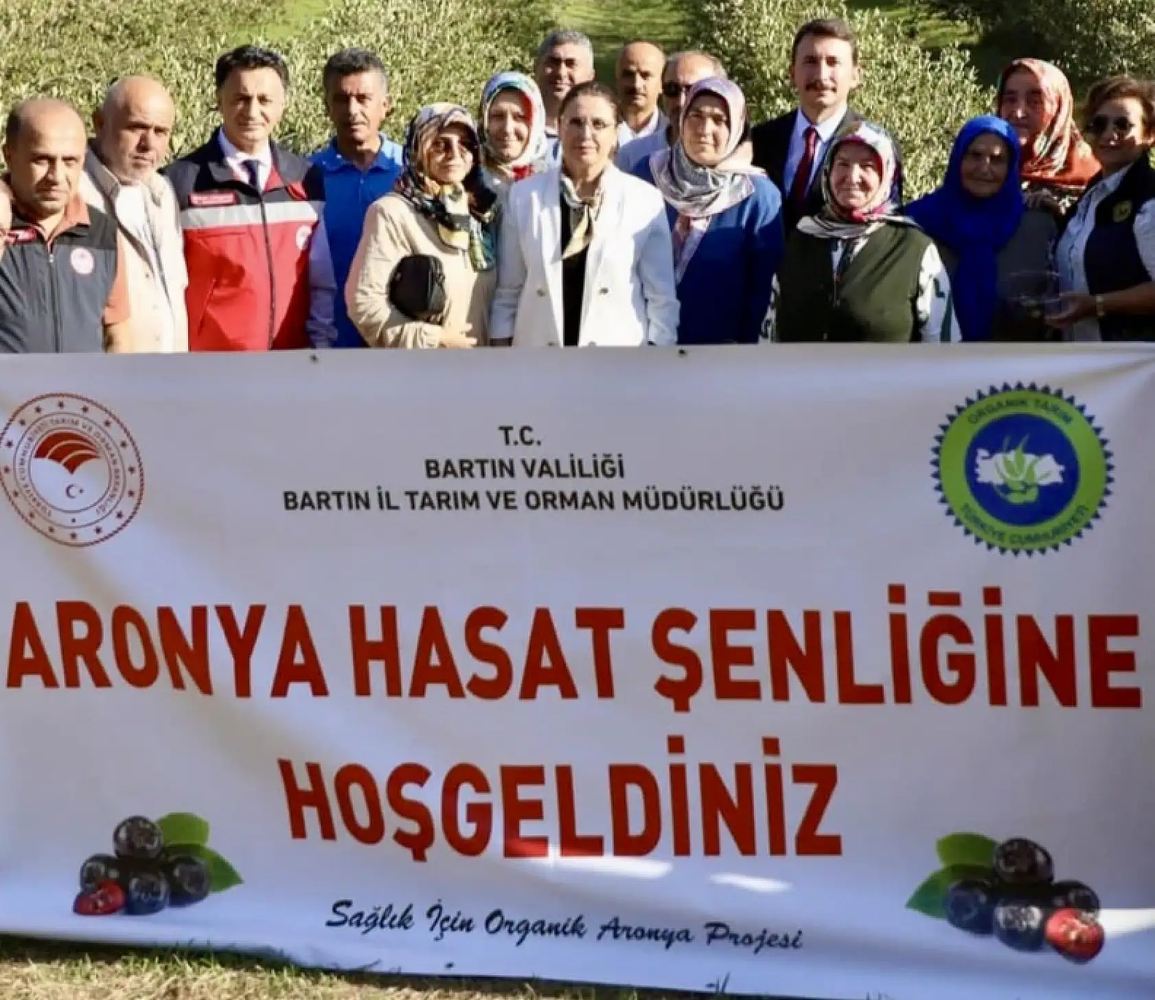 Çakraz'da aronya hasadı