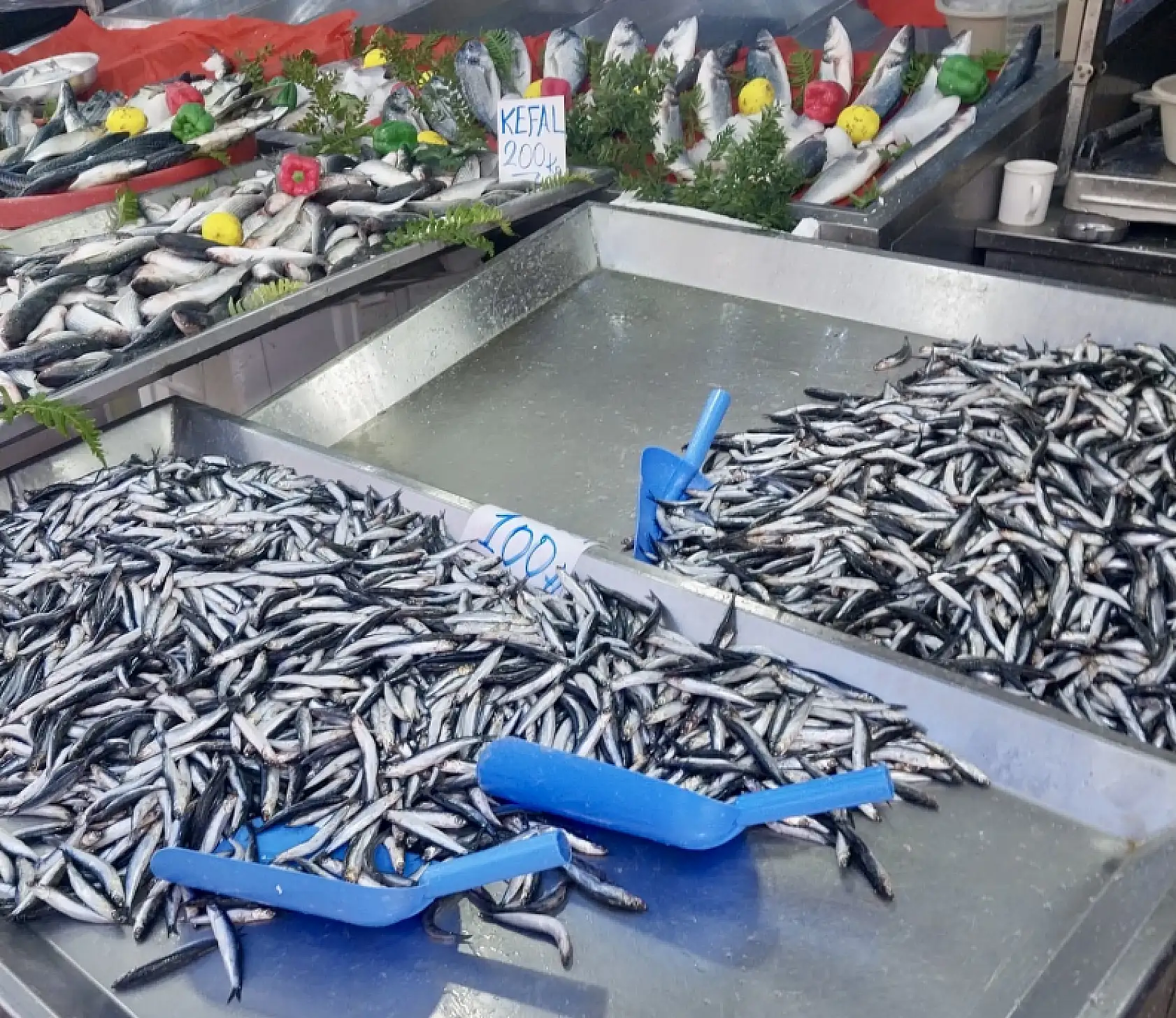 Yılın son balıkları satışta