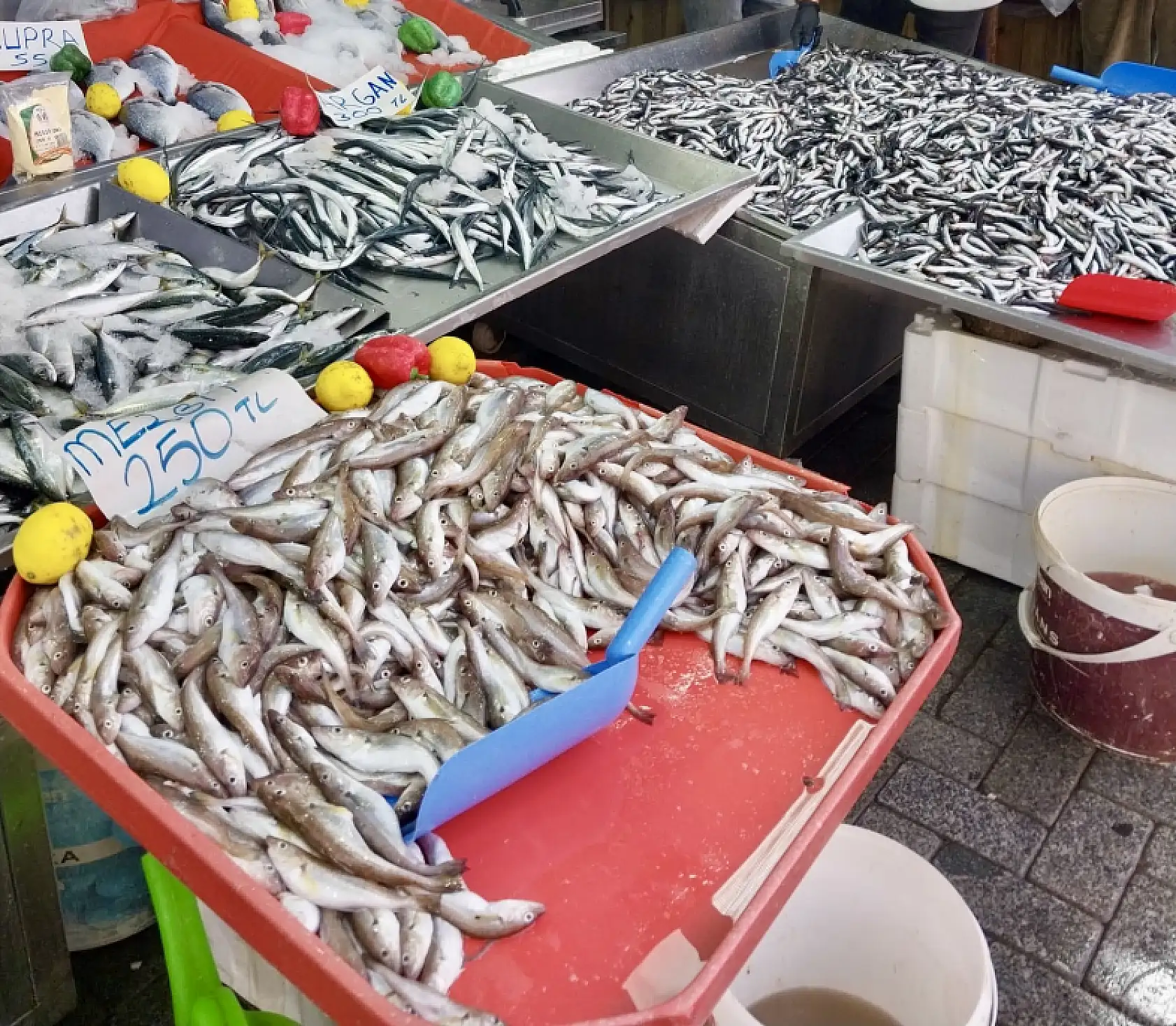 Fiyatlar asansör misali